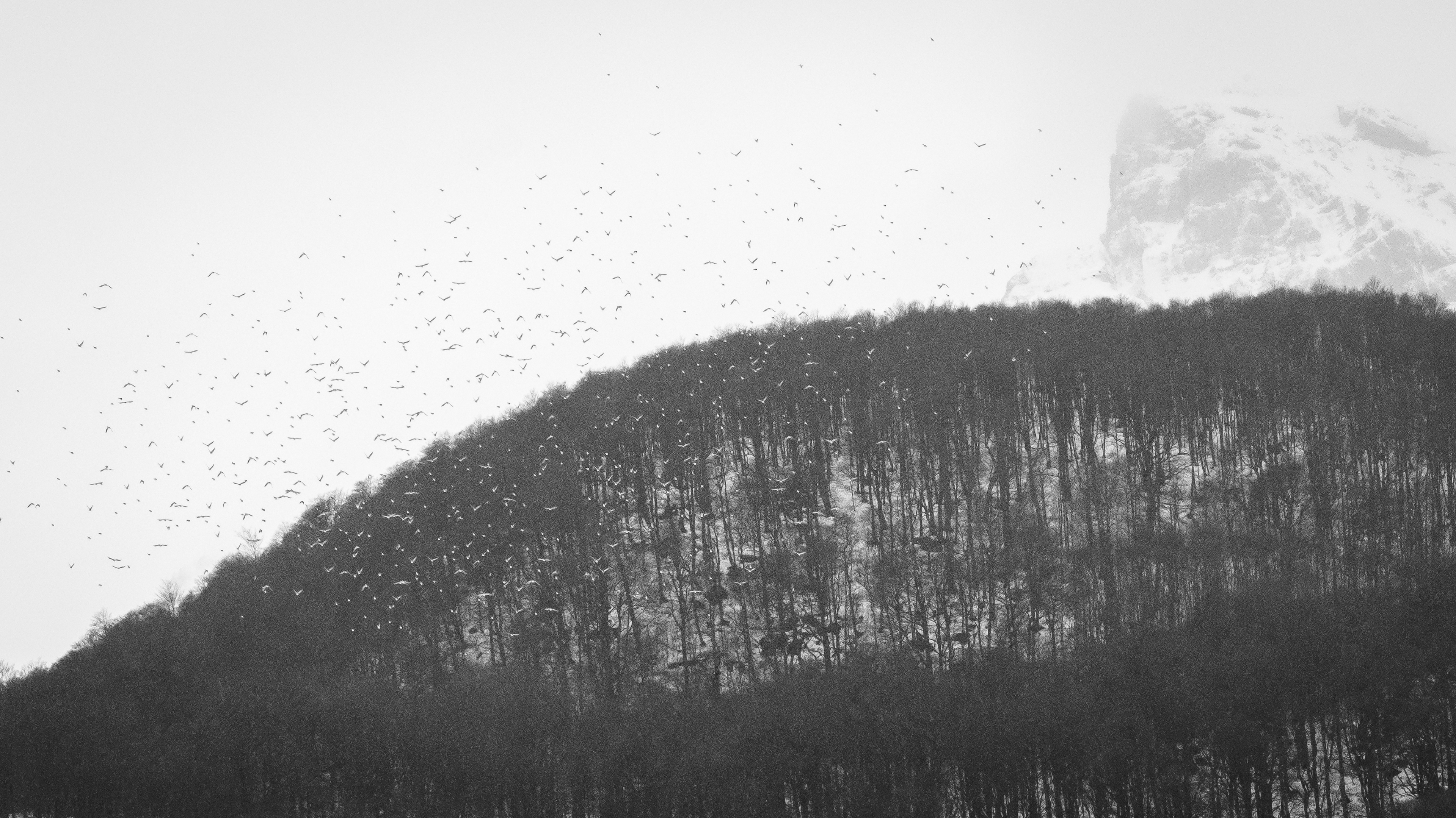 En route vers les cabanes d’Ansabère