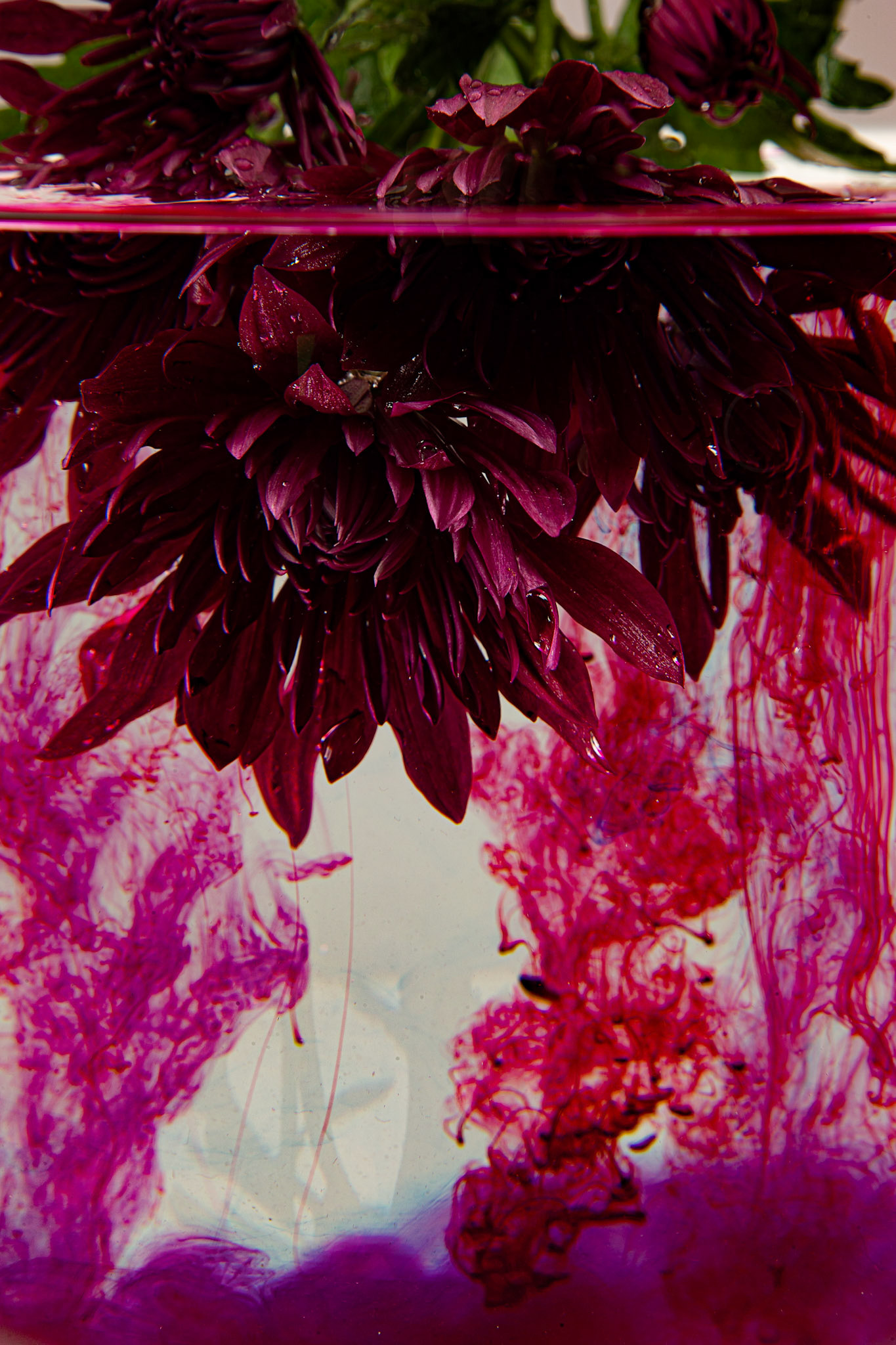 Abstract