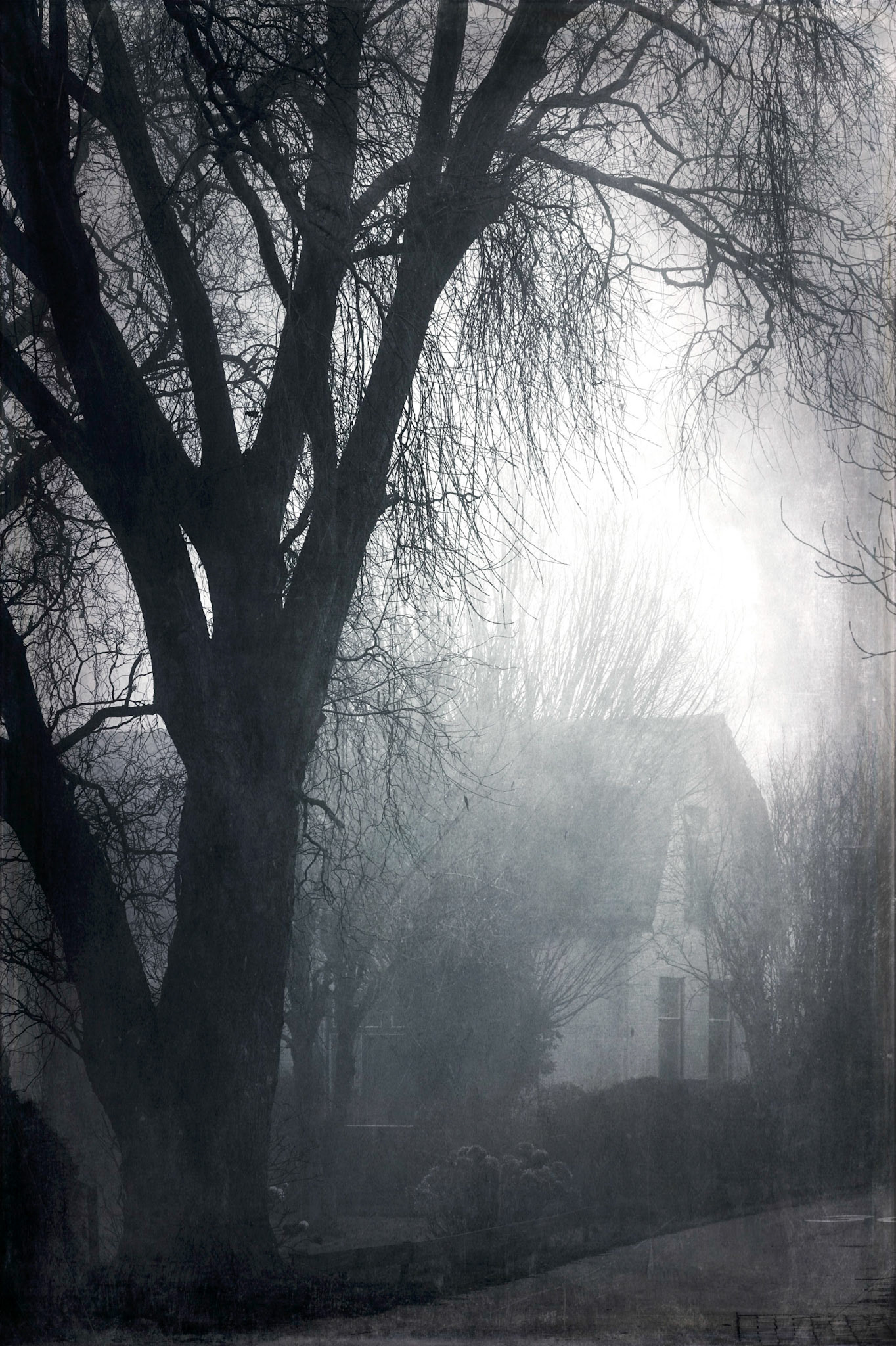 Kleine Achterweg Naaldwijk