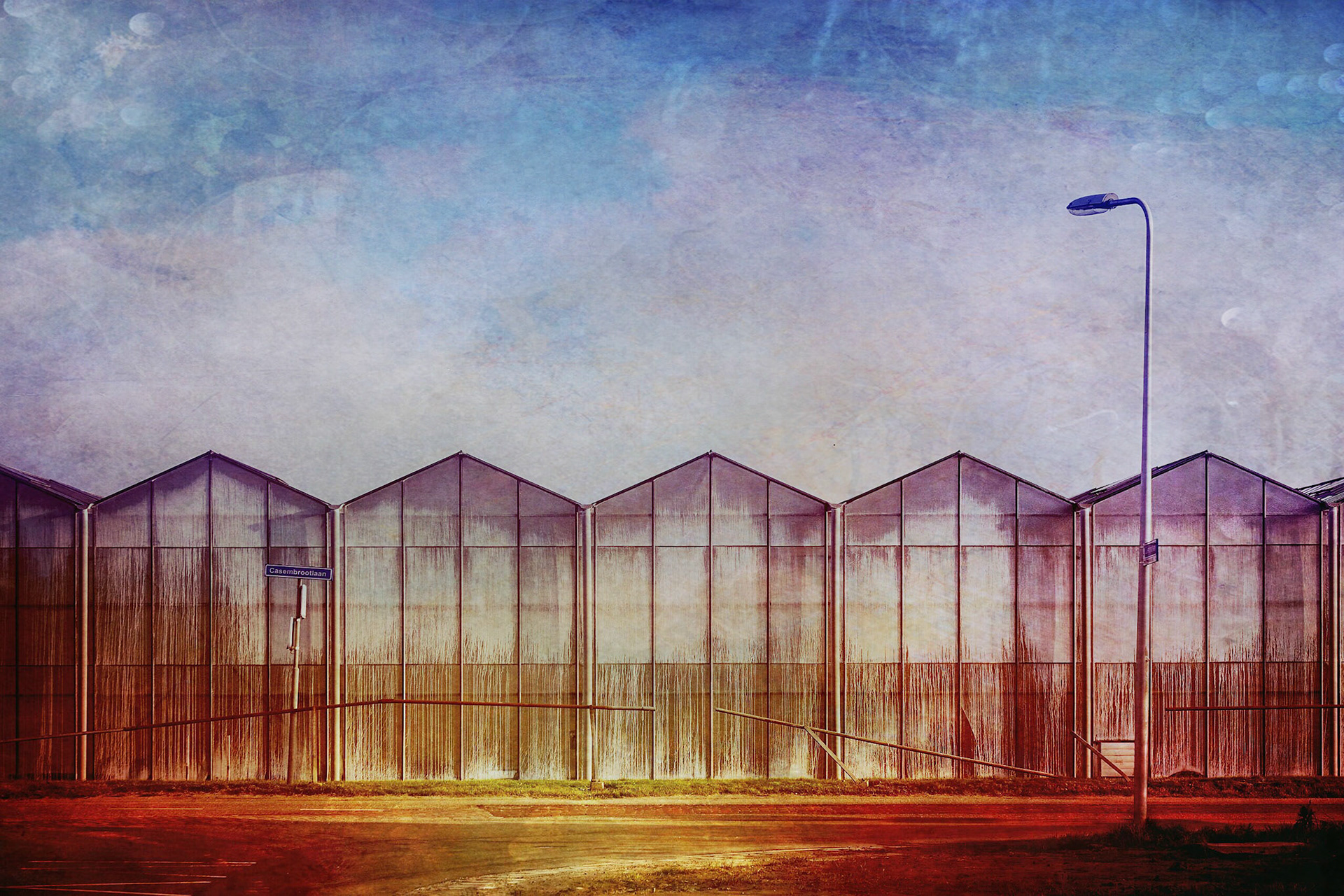 Casembrootlaan Poeldijk