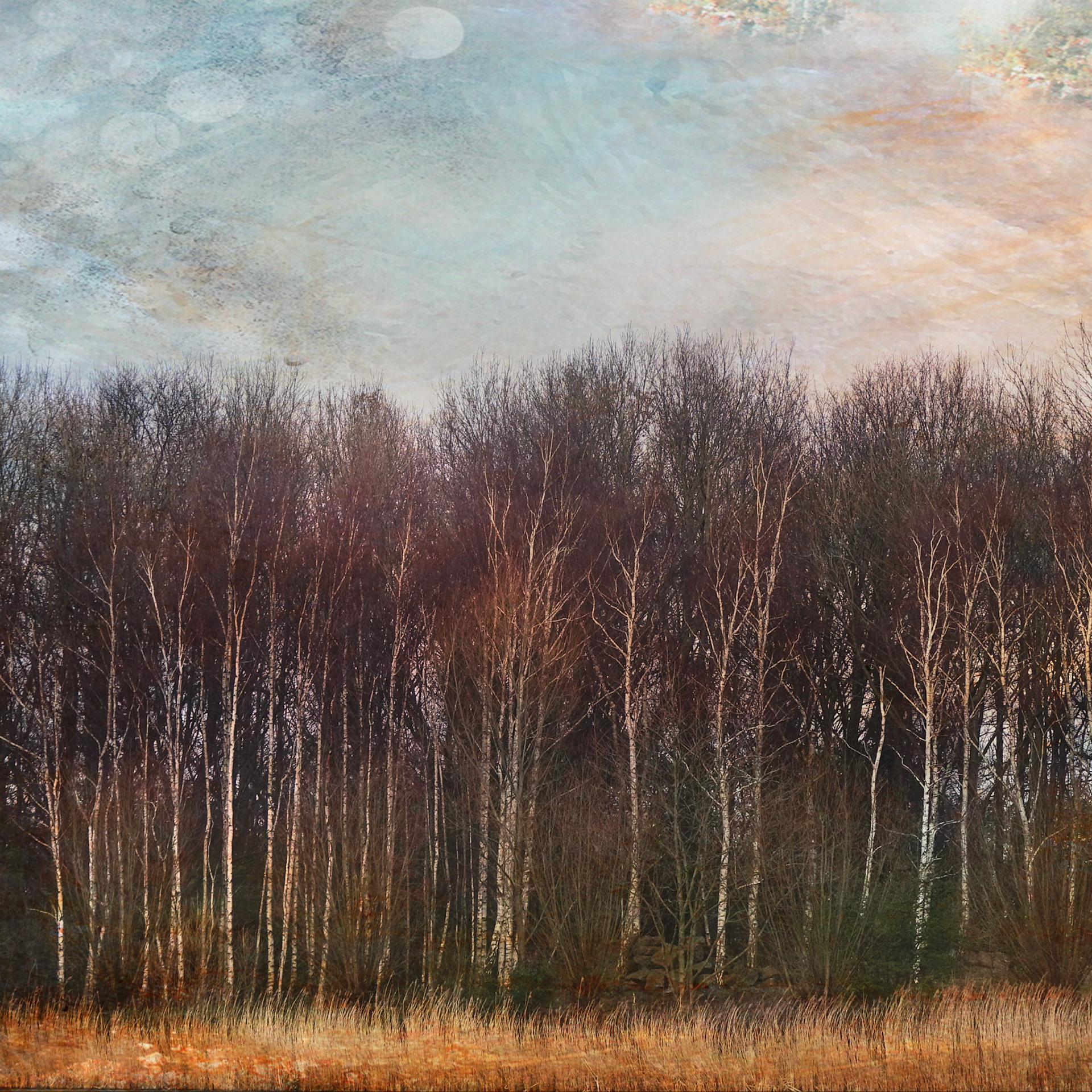 Prinsenbos Naaldwijk