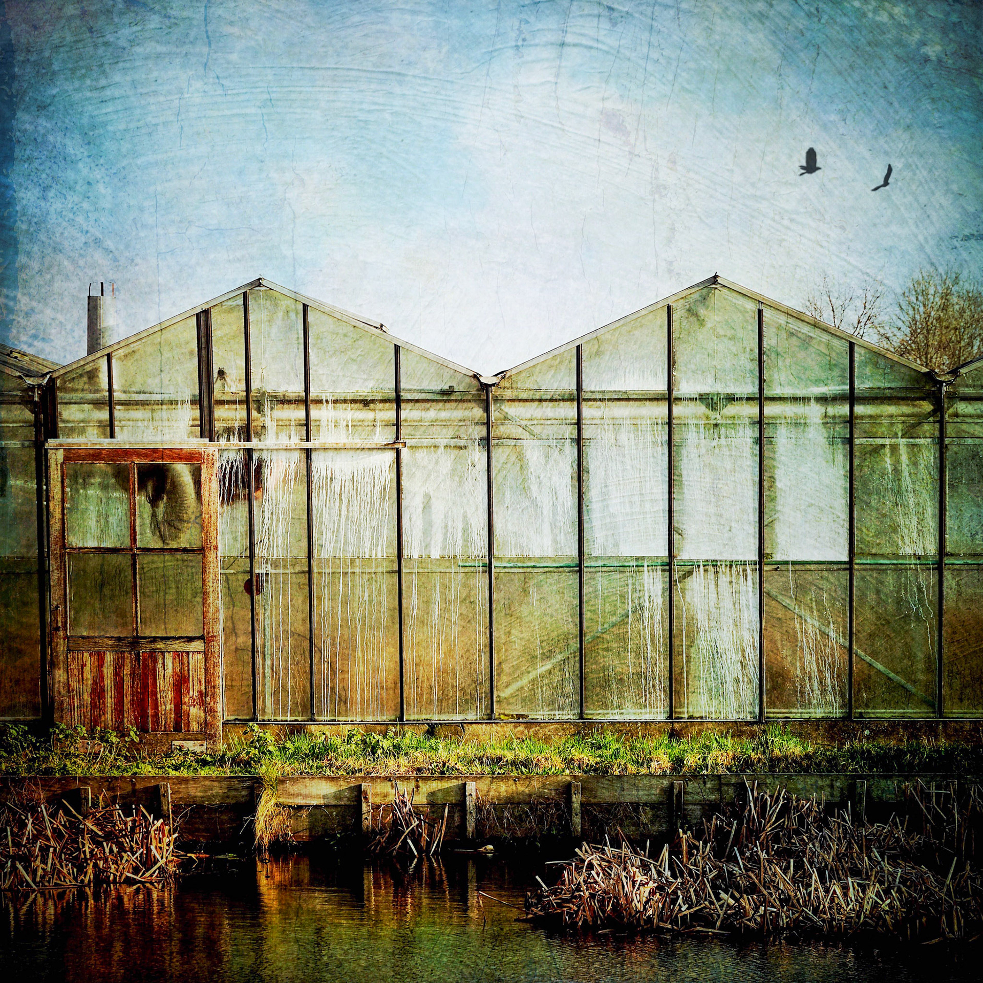 Casembrootlaan Poeldijk