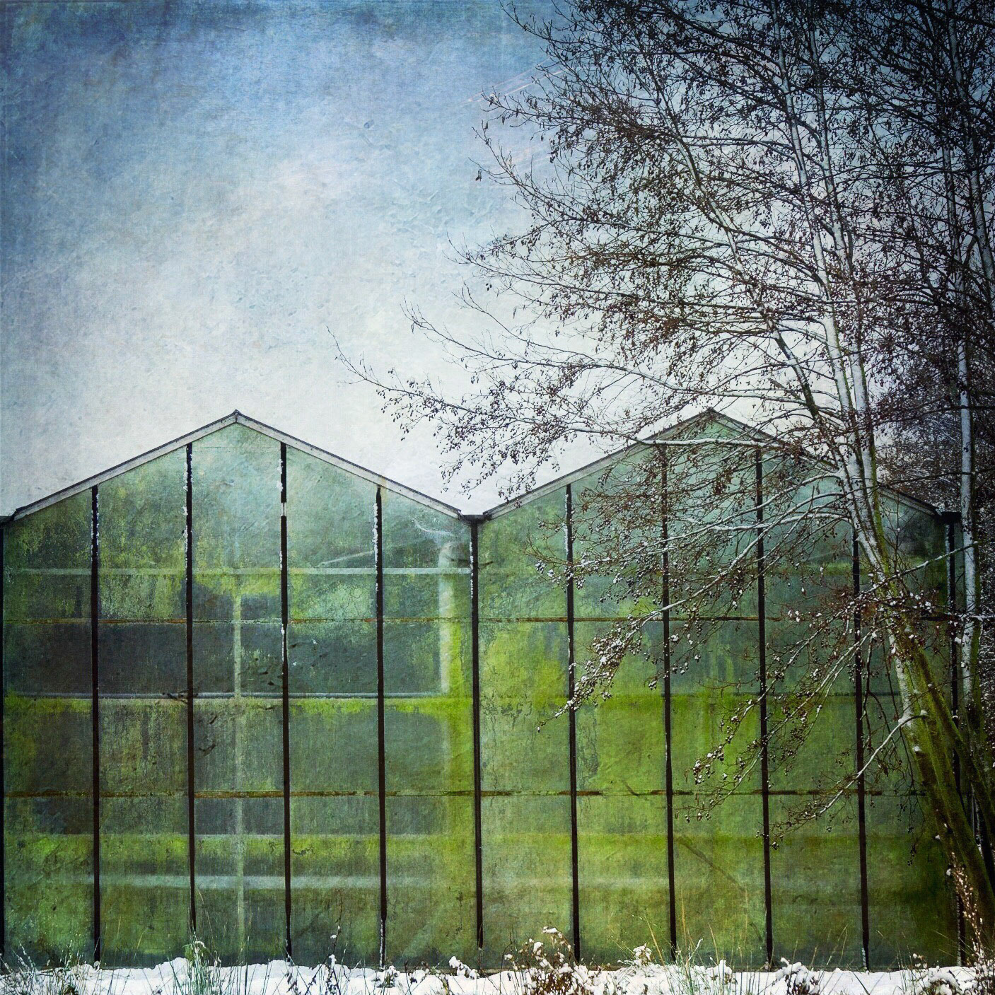 Grote Achterweg Naaldwijk