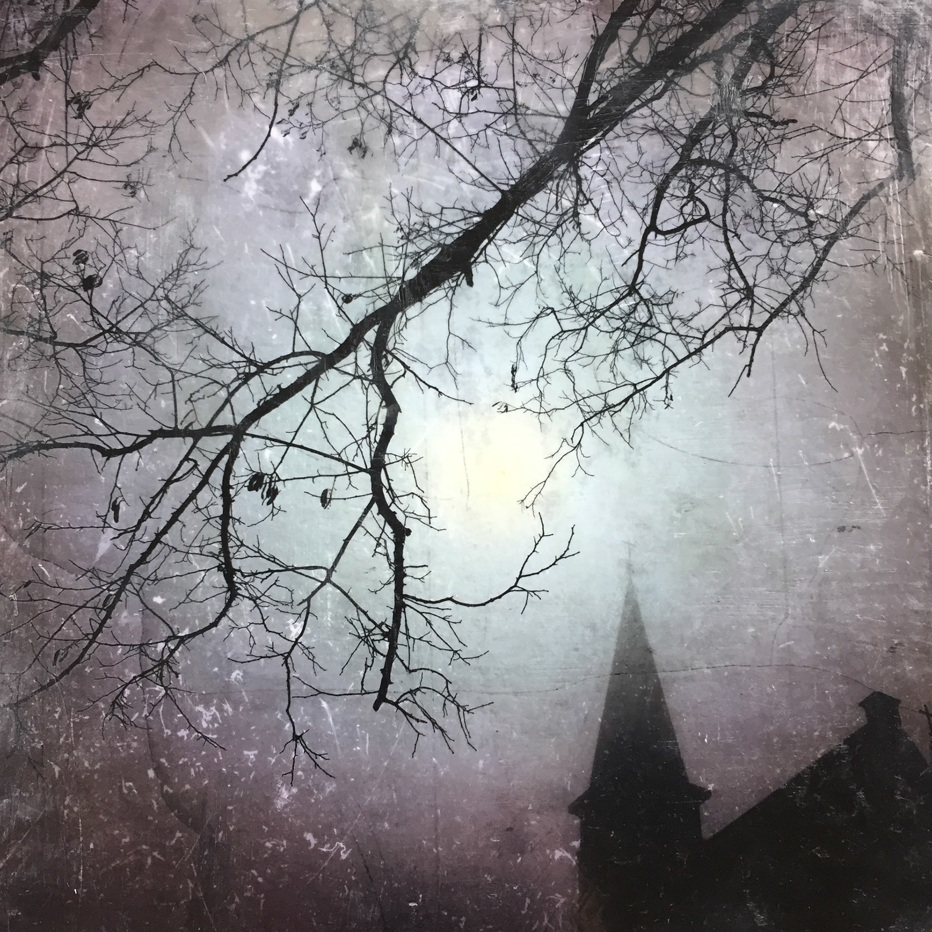 Sint-Arianuskerk Naaldwijk