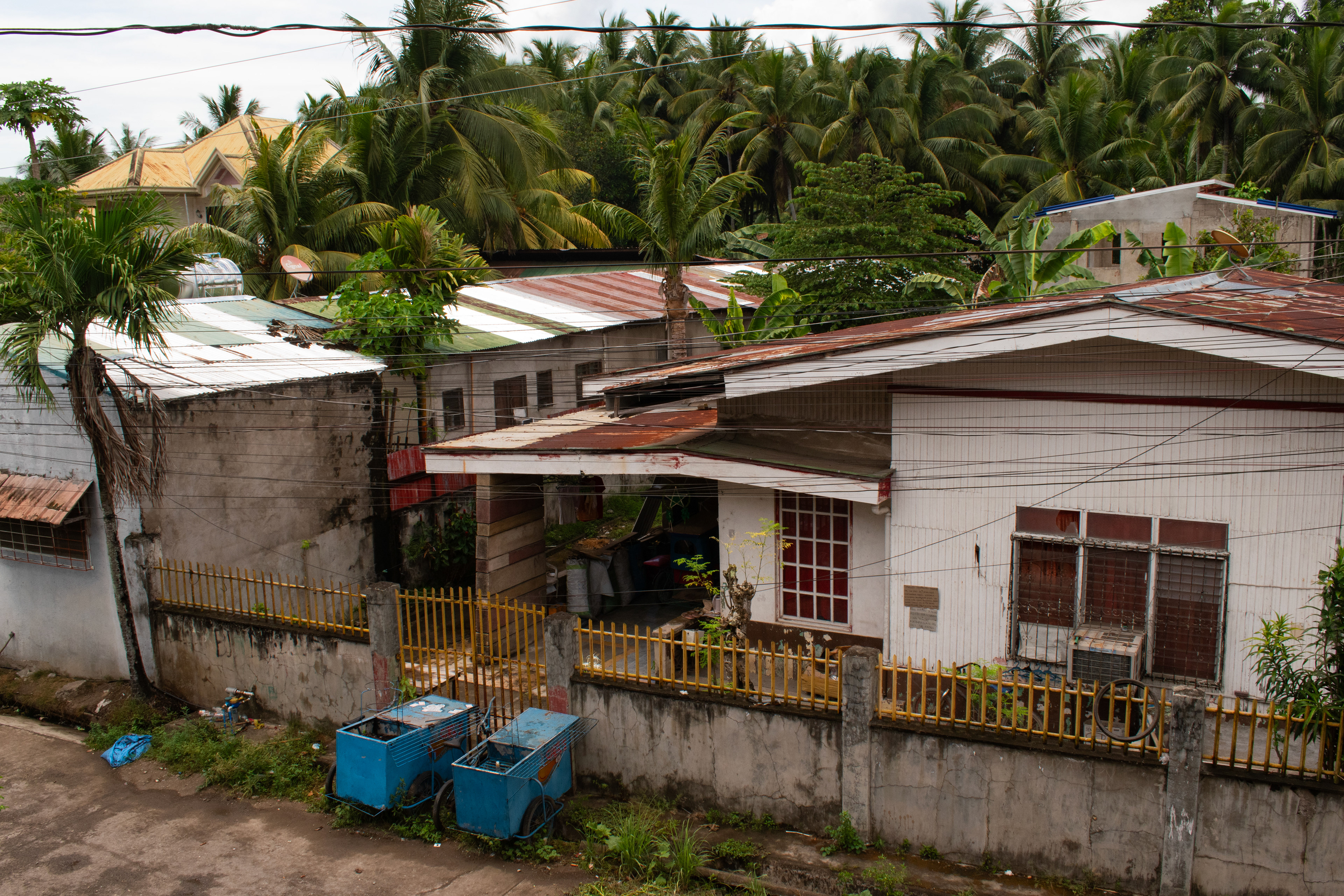 "Tuburan", digital photograph, 2024.