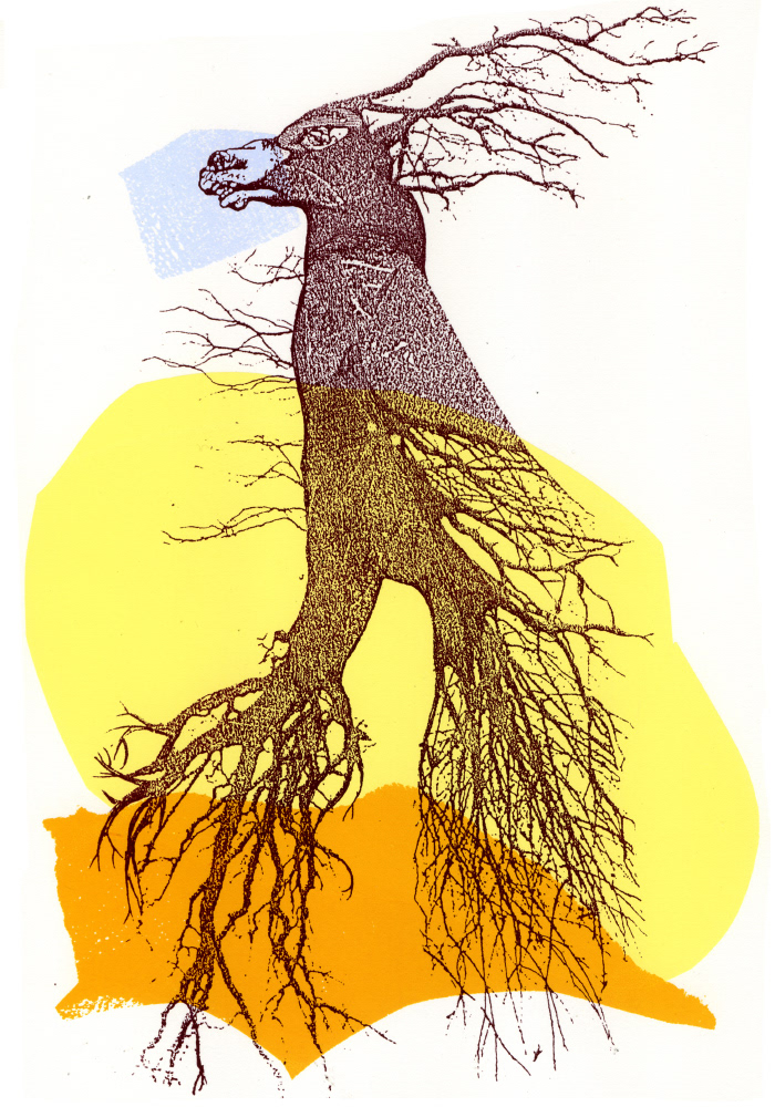 POOKA IV sérigraphie, 5 x 7.5 pouces (12.7 x 19.05 cm), tirage limité de 4, 2009
