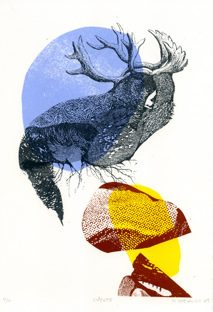 POOKA VI sérigraphie, 5 x 7.5 pouces (12.7 x 19.05 cm), tirage limité de 4, 2009