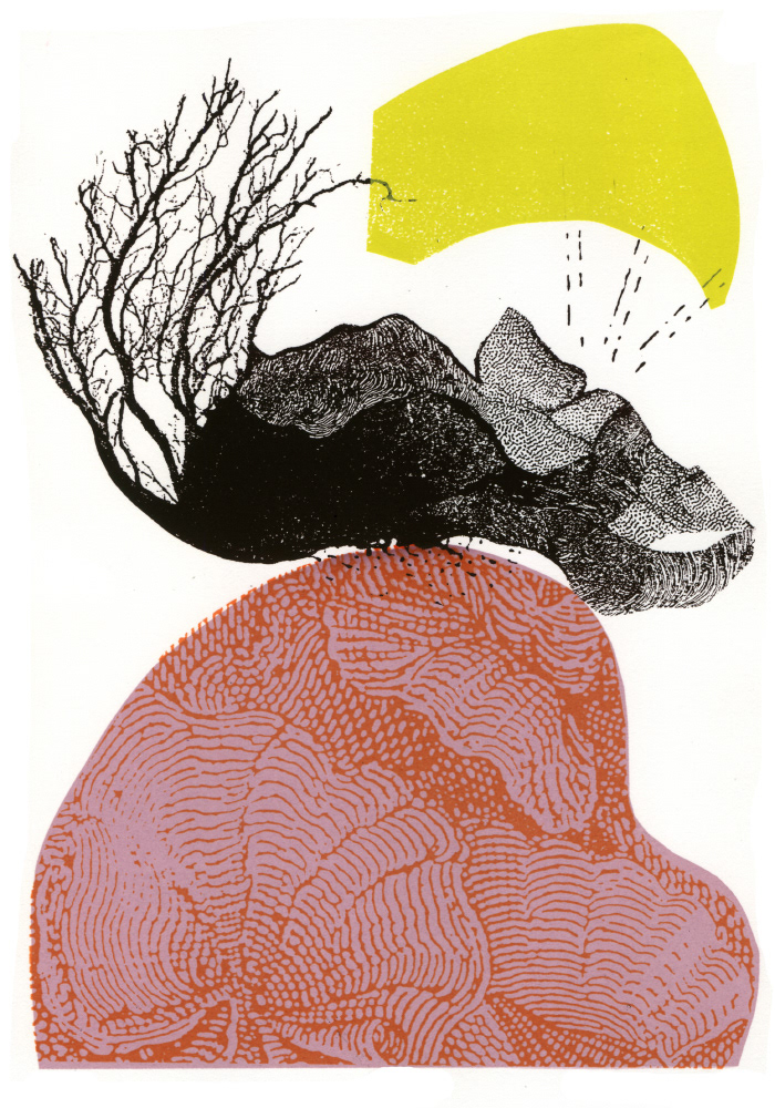 POOKA IX sérigraphie, 5 x 7.5 pouces (12.7 x 19.05 cm), tirage limité de 4, 2009