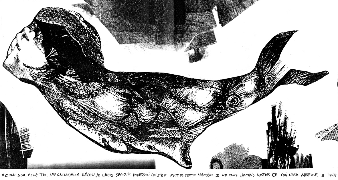 Livre accordéon CORNEILLE CRAQUELÉE (détail) sérigraphie, 60 pages de 15 x 30 pouces (38.10 x 76.20 cm), tirage limité de 4, 2008