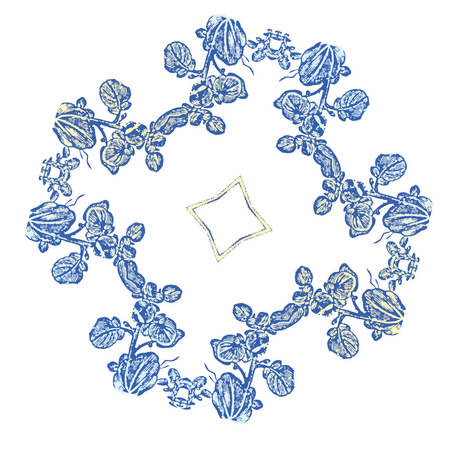 Image numérique, détail