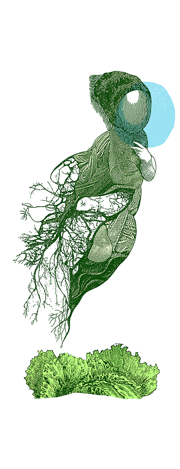 DAME Sérigraphie, 15 x 44 pouces ( 38.10 x 111.76 cm), tirage limité de 4, 2011