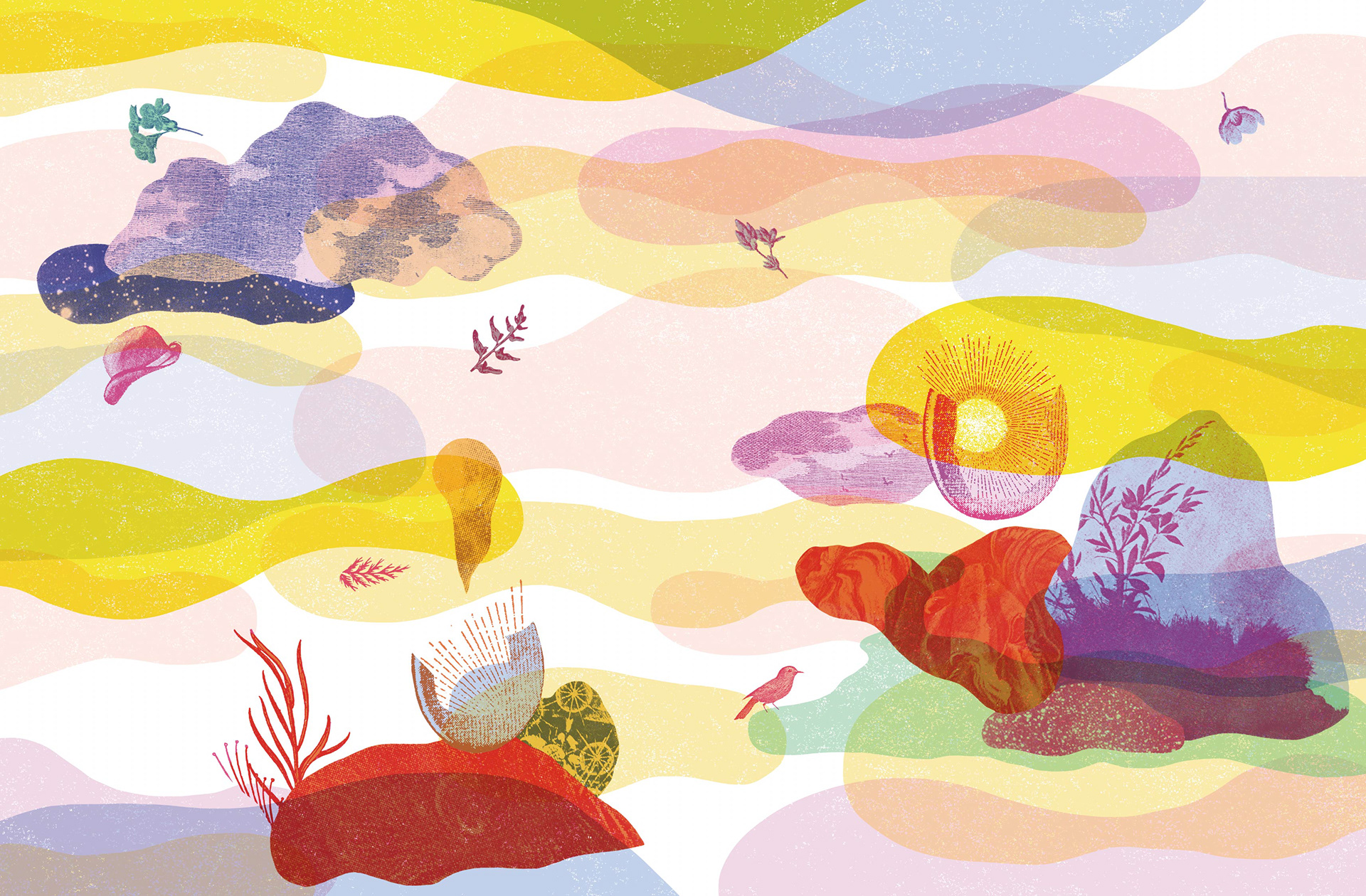 Couverture sans la jaquette