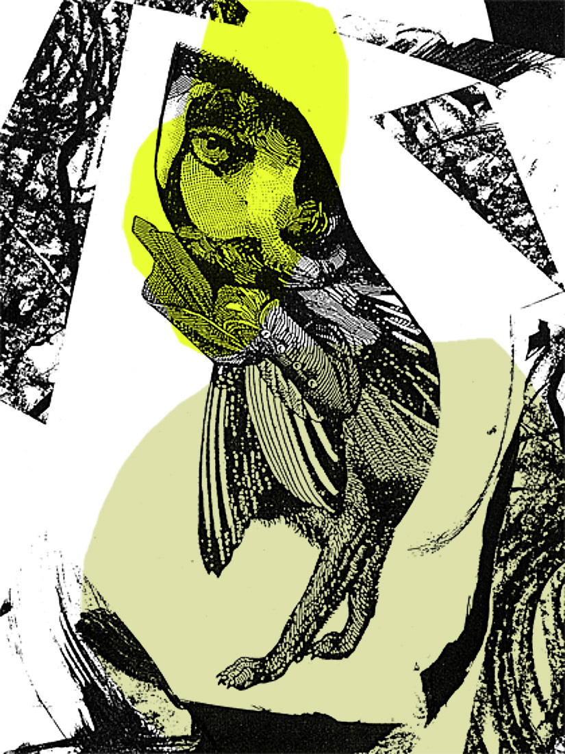 CRÉATURE 09 sérigraphie, 15 x 20 pouces (38.1 x 50.8 cm), tirage limité de 4, 2008