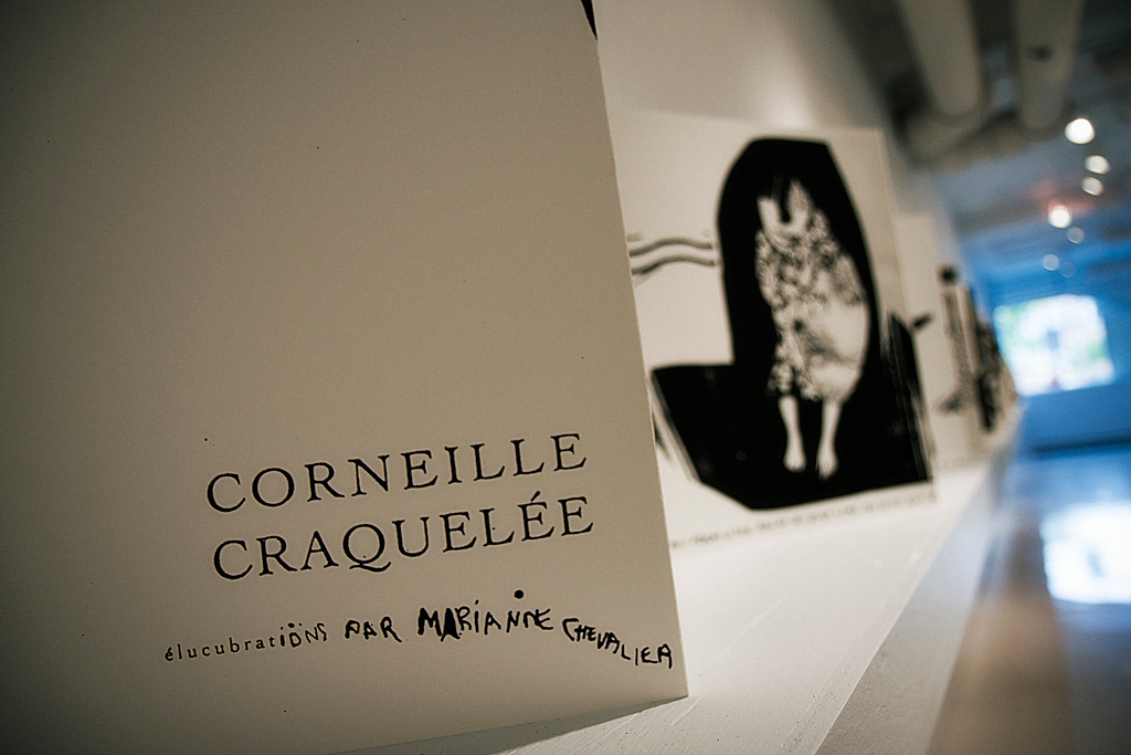 Vue de l'exposition CORNEILLE CRAQUELÉE, Galerie des arts visuels de l'Université Laval, Québec, 2008    © Photo : Dimitri Lavoie