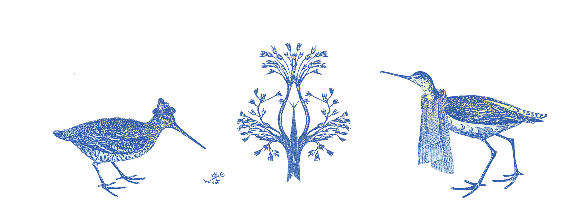 Image numérique, détail