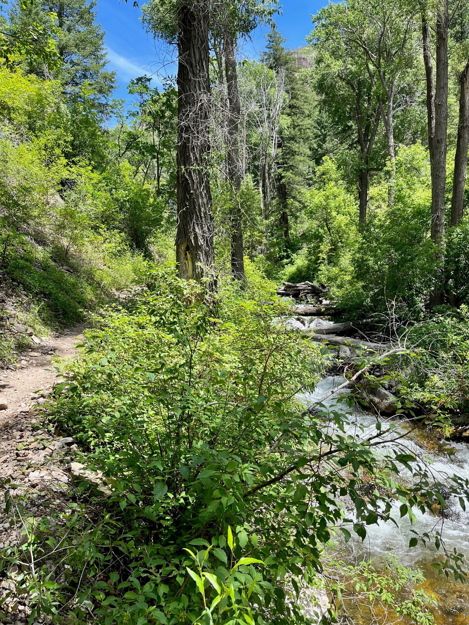 Colorado Hike