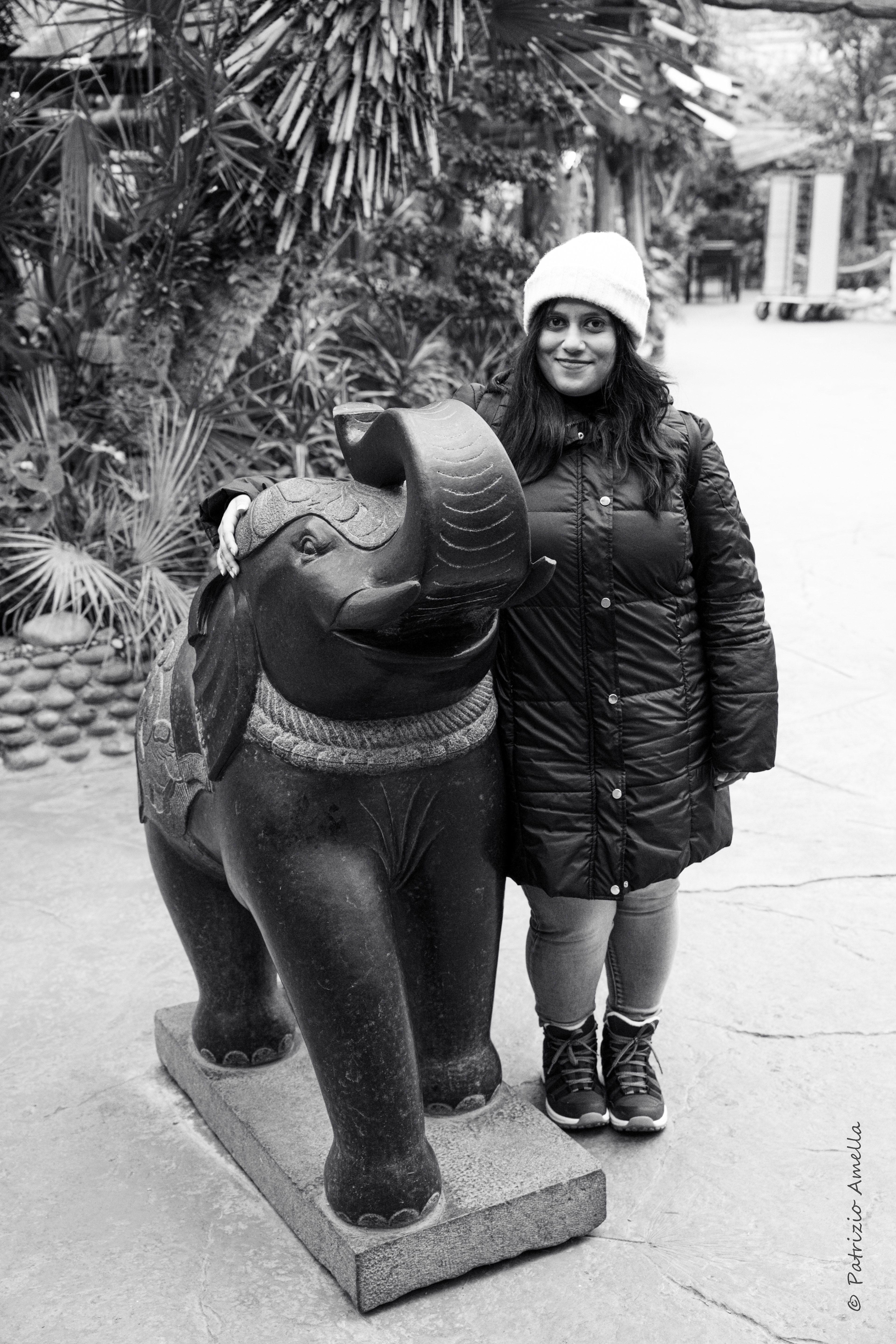 As tall as the elephant