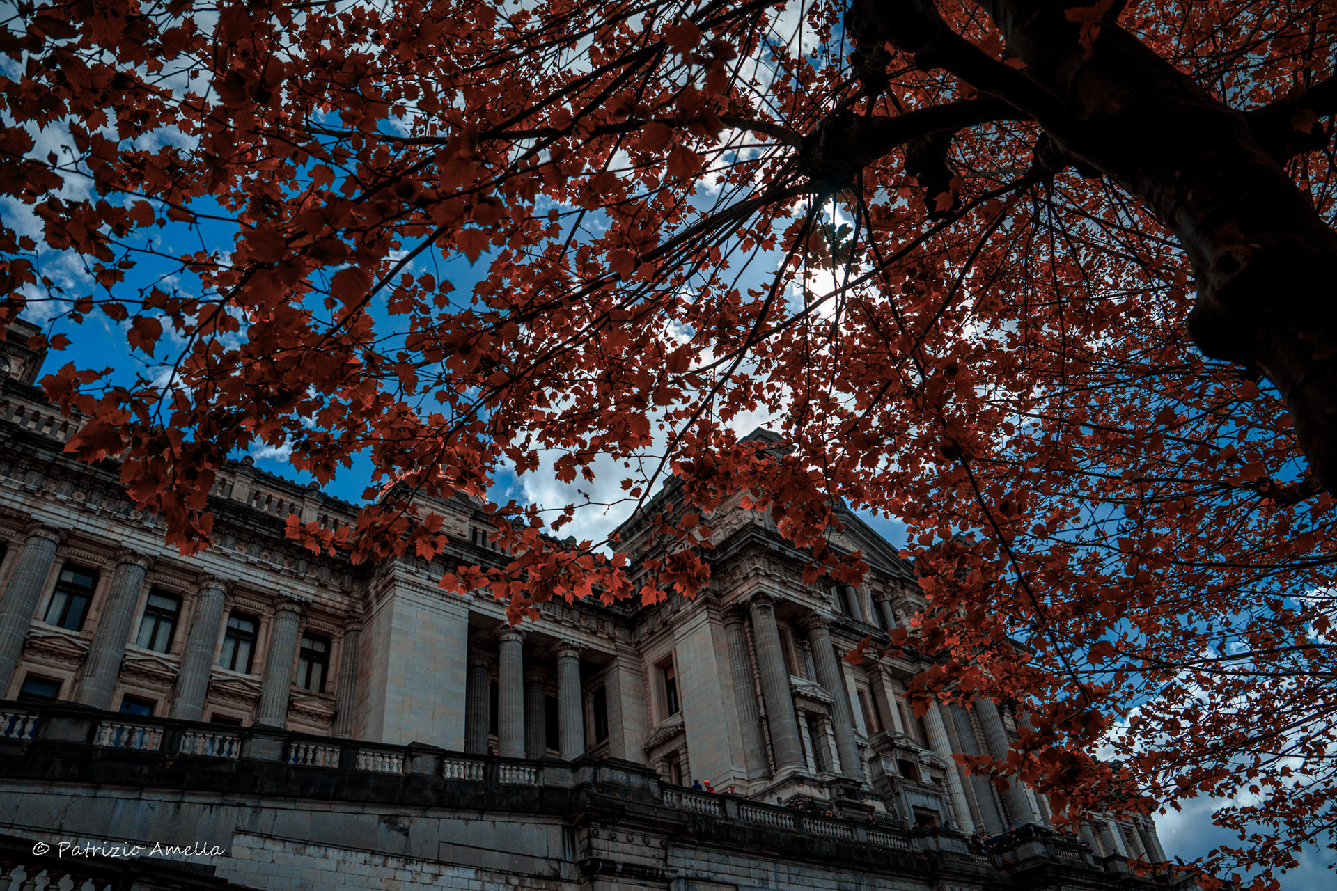 Natural order | Palais de justice - Bruxelles