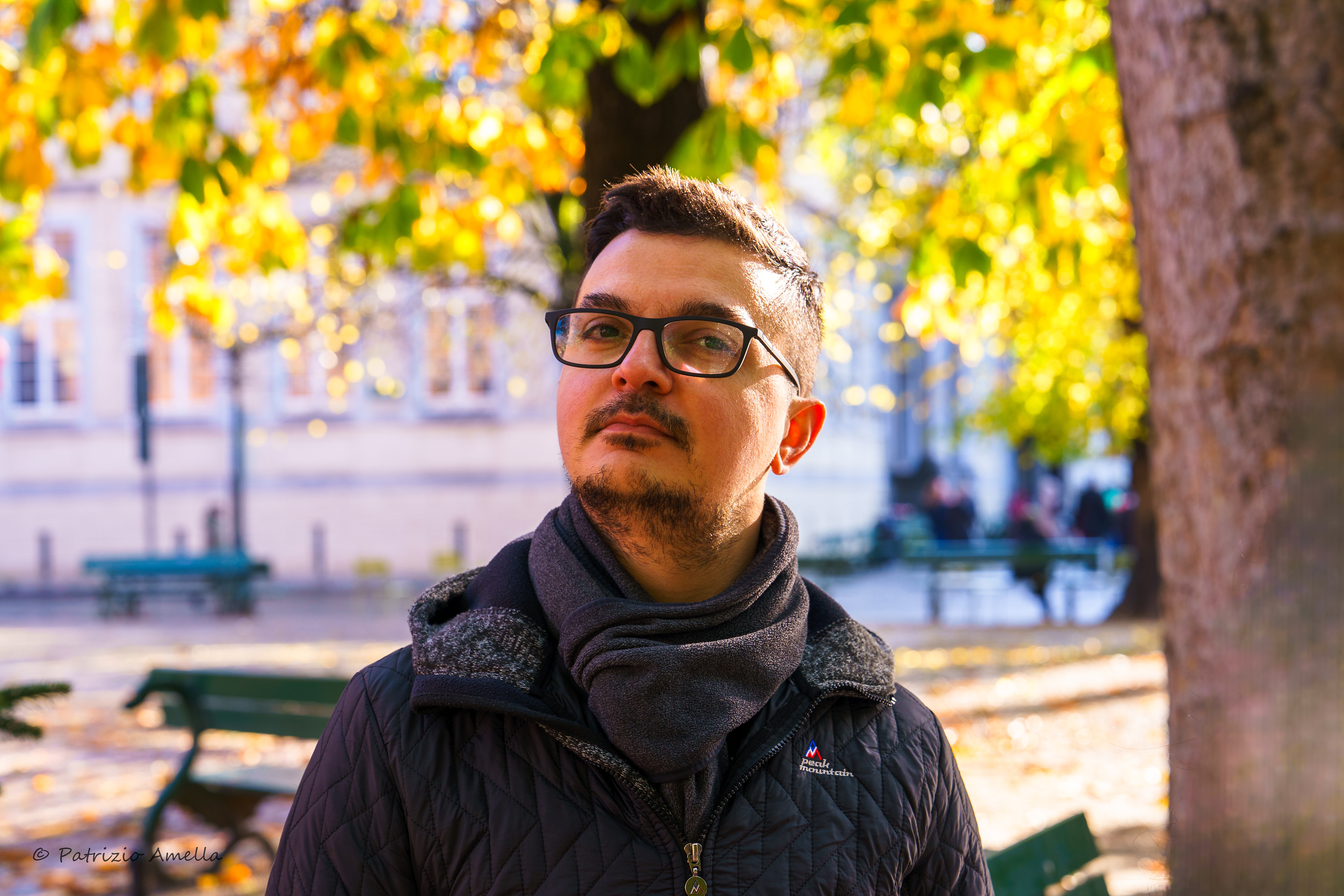 Illuminated by the tree