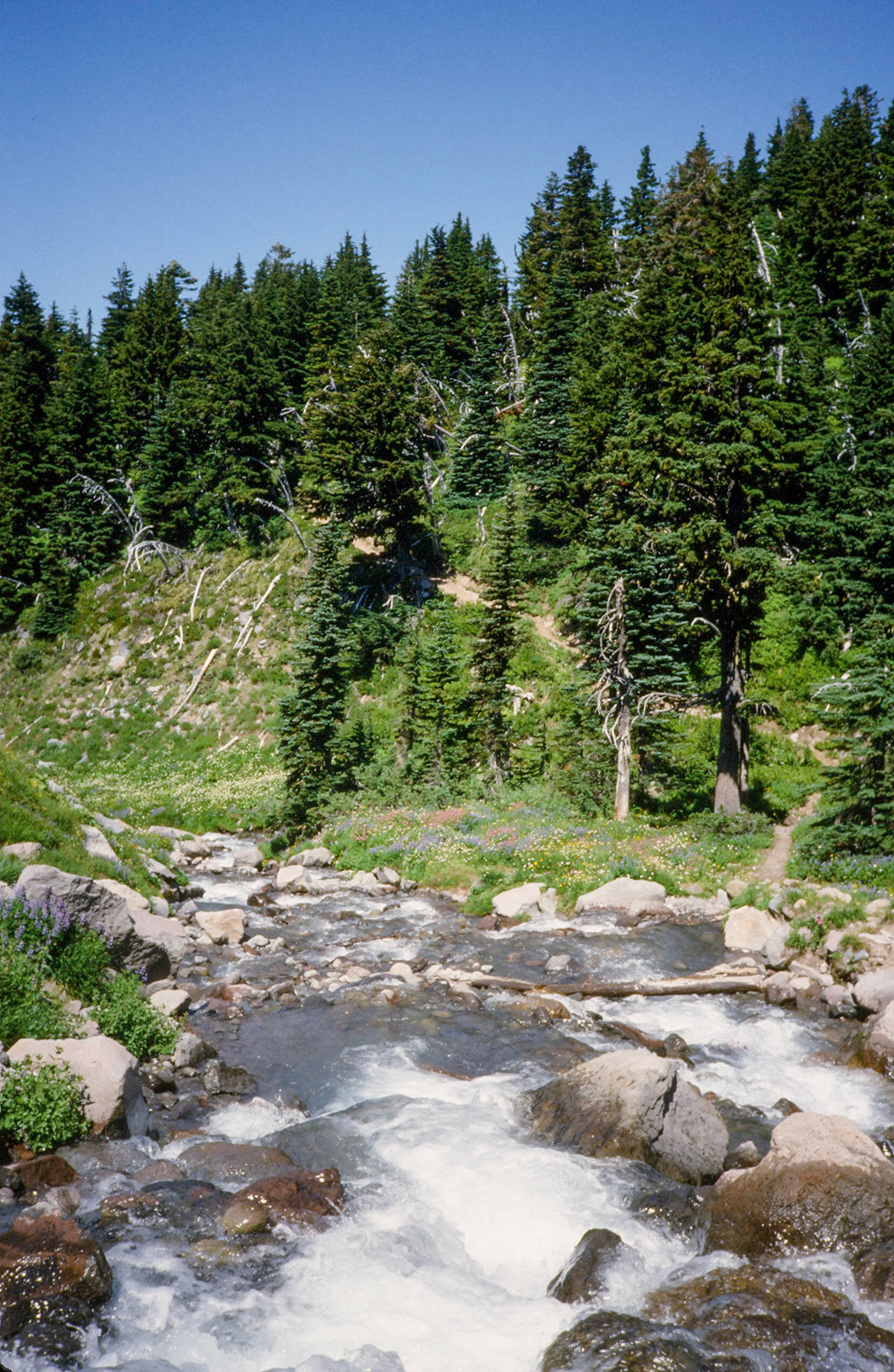 7/1986 Mt Rainer Lost Lake Backpacking Trip