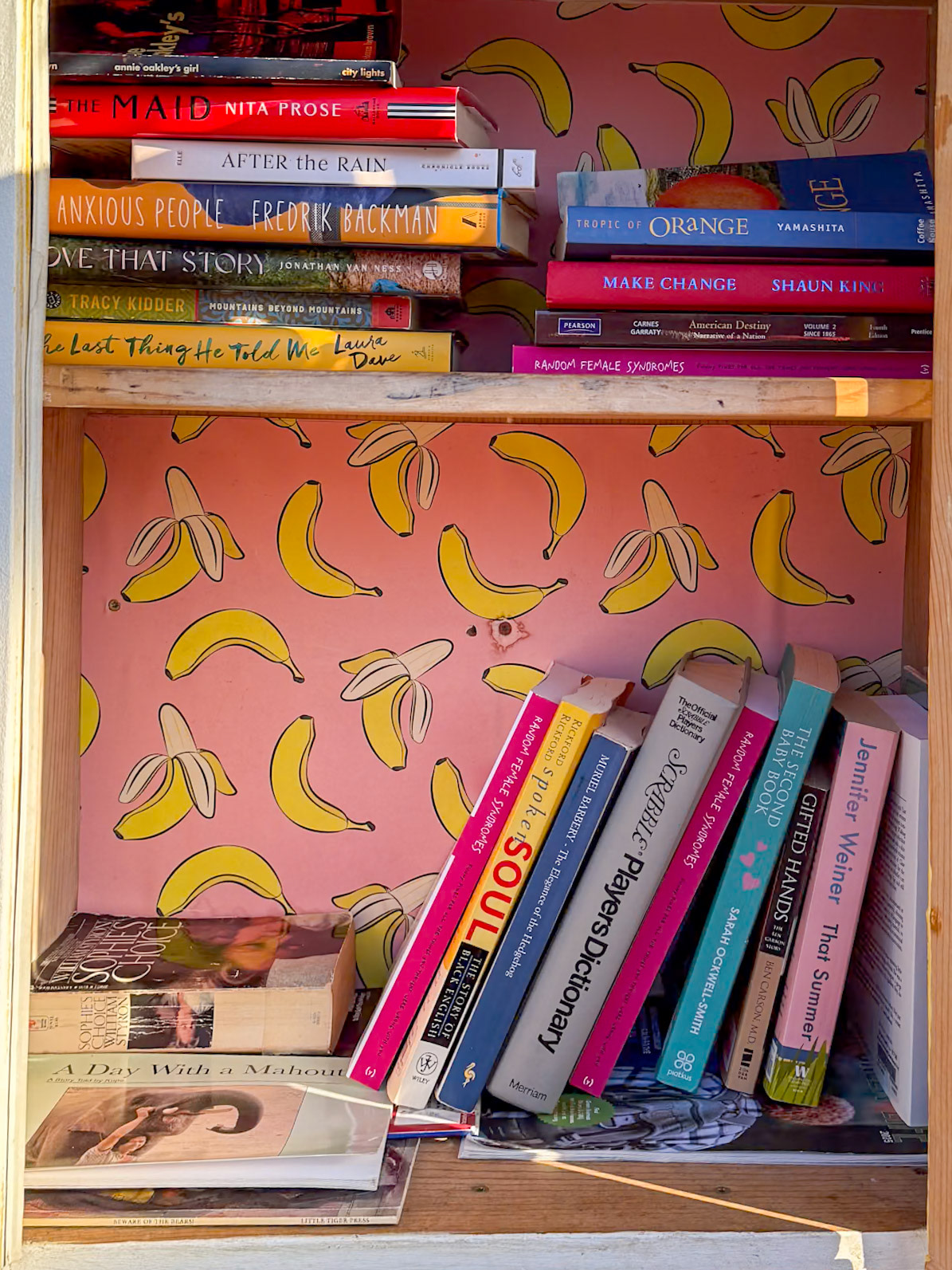 12/9/2024 NE Portland Walk