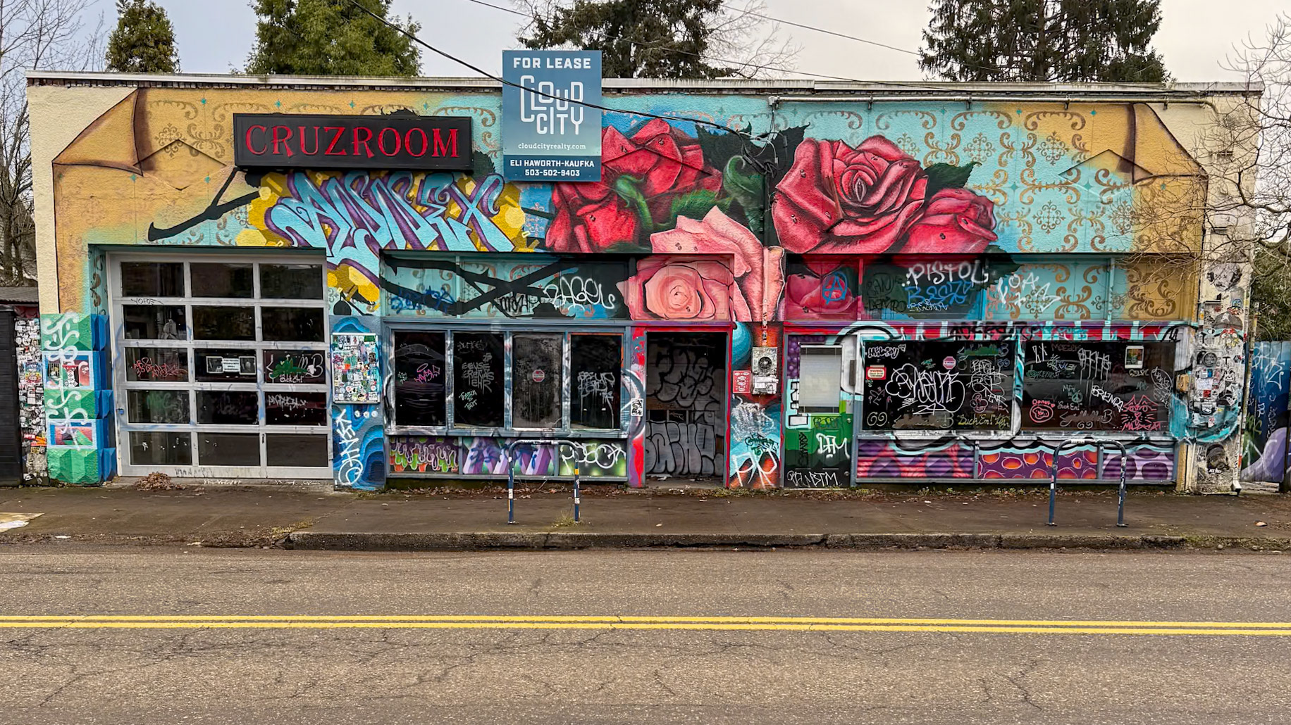 12/18/2024 NE Alberta St Walk