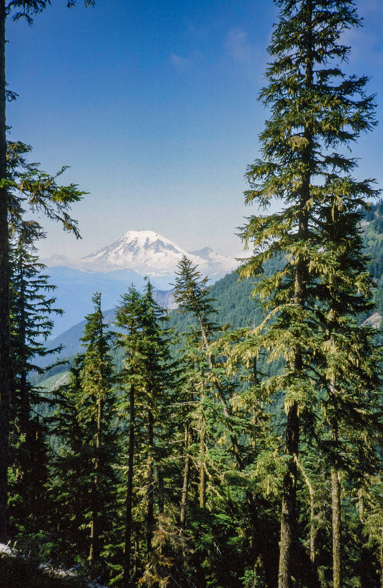 7/1986 Mt Rainer Lost Lake Backpacking Trip