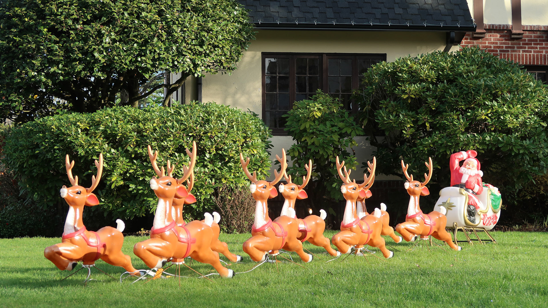 https://en.wikipedia.org/wiki/Santa_Claus%27s_reindeer
