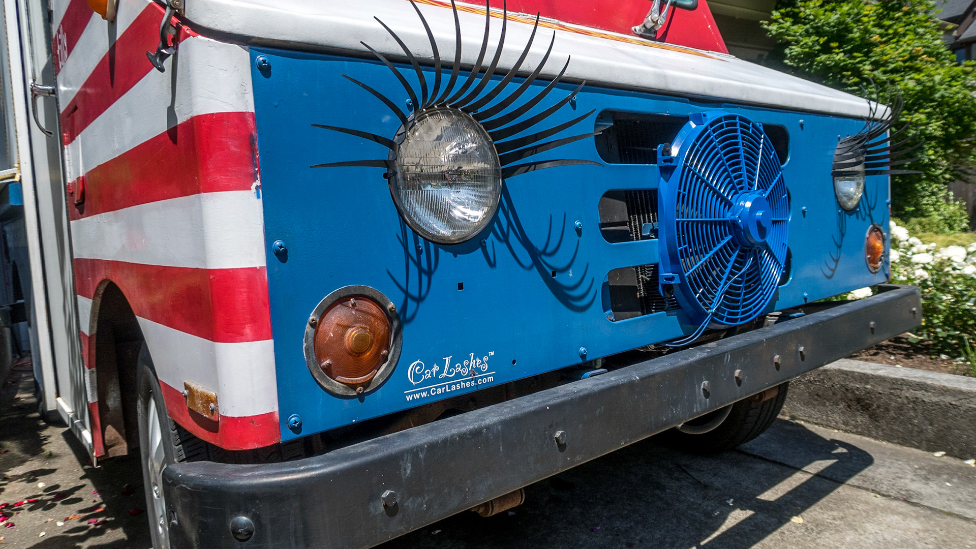 Car Lashes