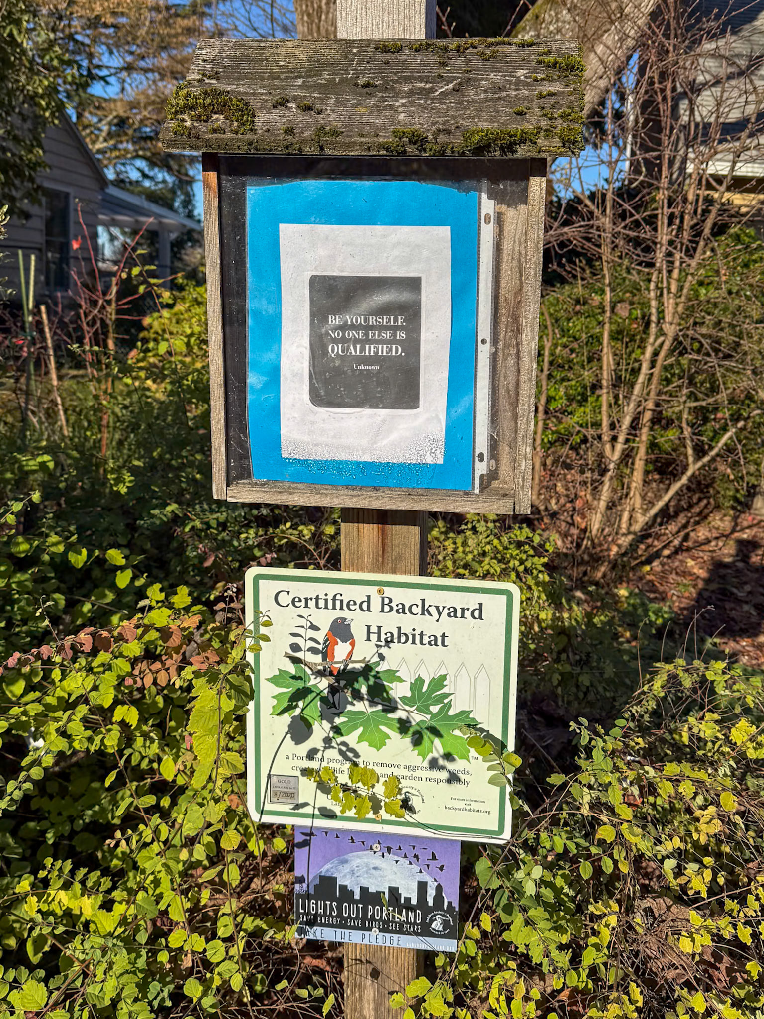 12/1/2024 NE Portland Walk