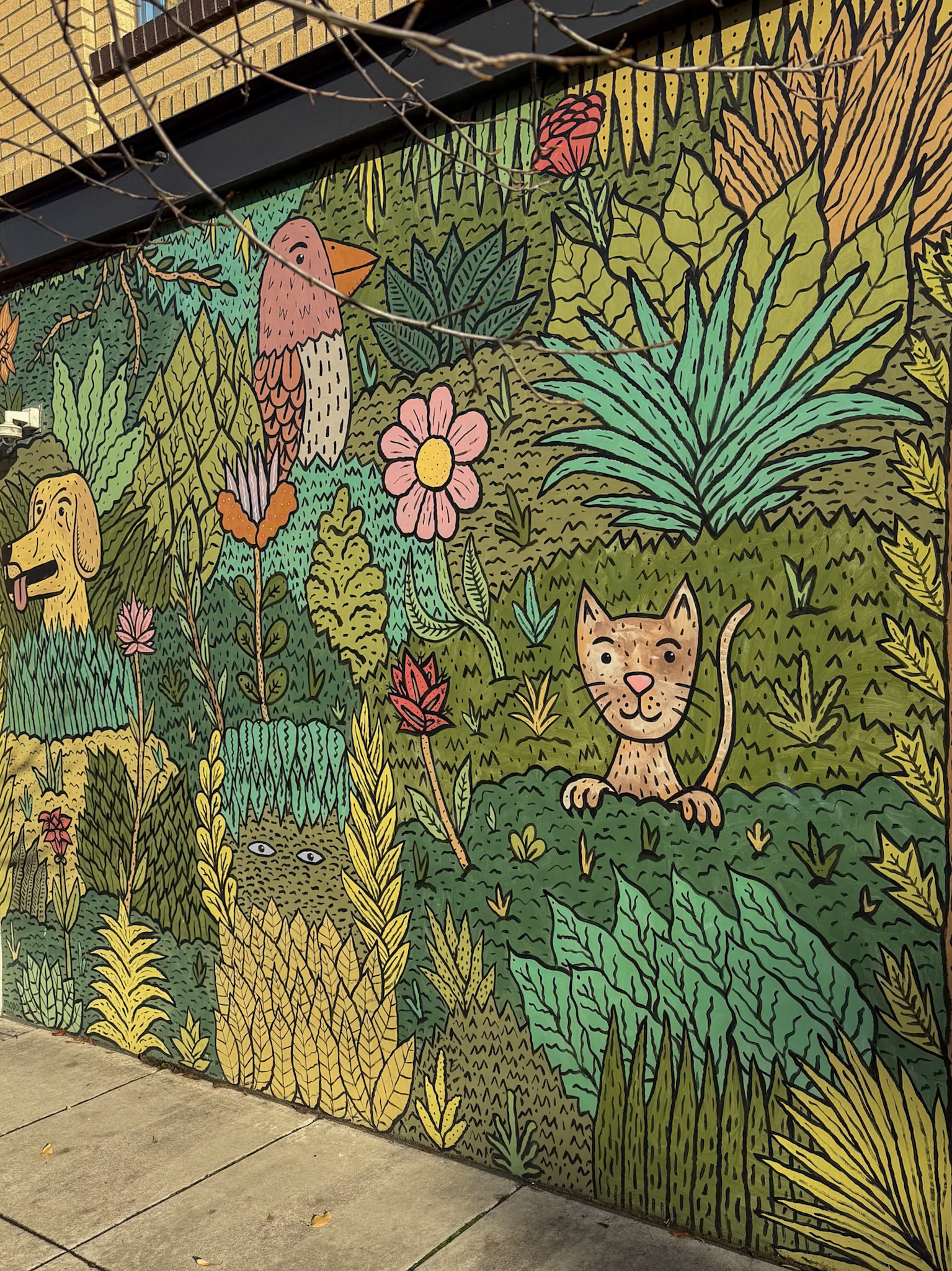 12/9/2024 NE Portland Walk