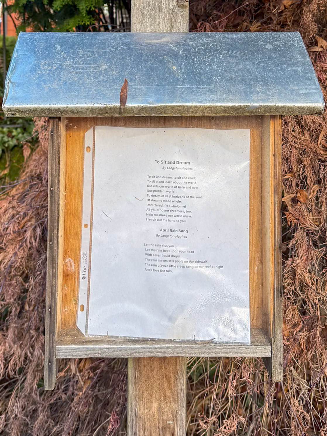 12/9/2024 NE Portland Walk