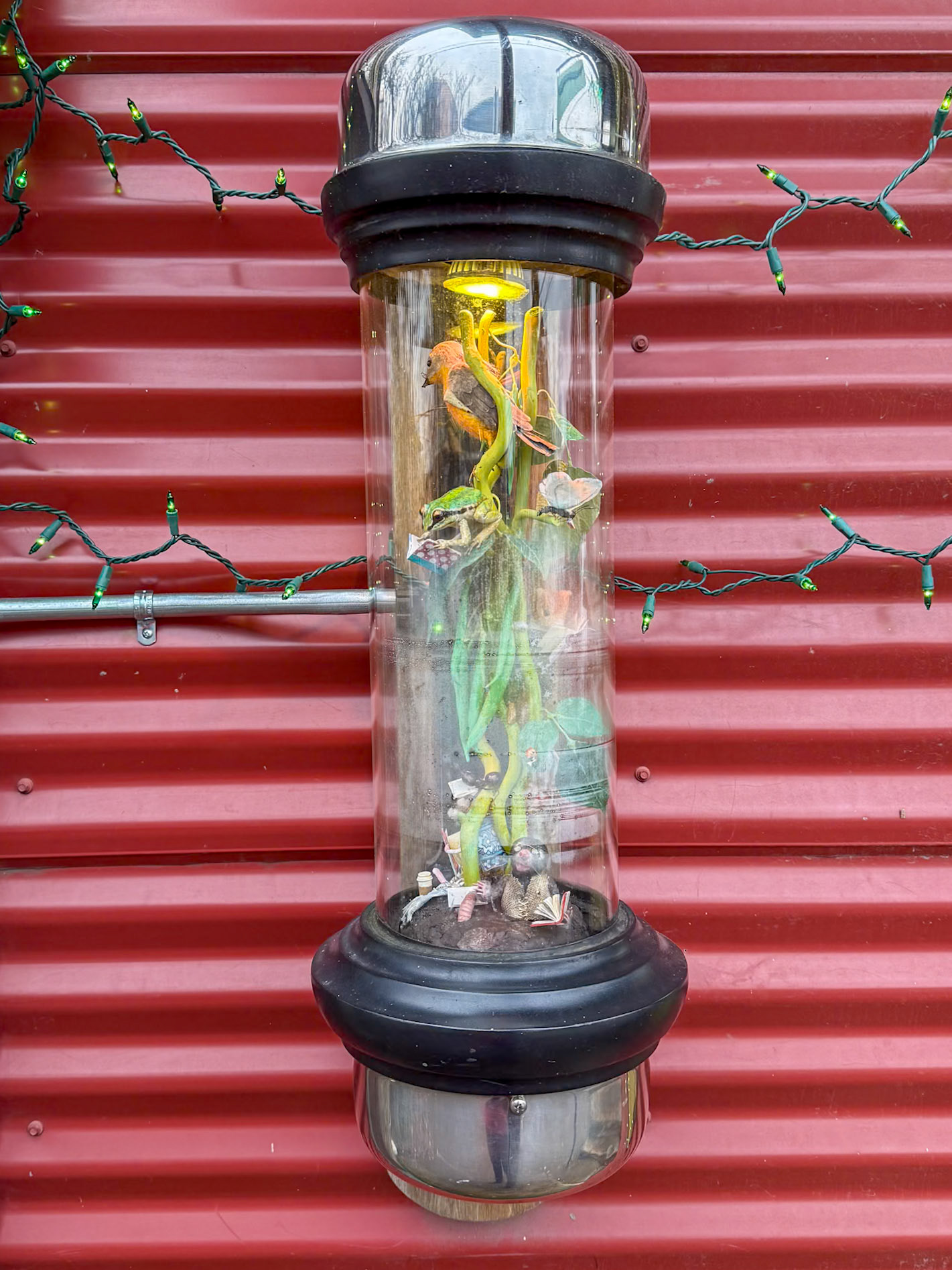 12/18/2024 NE Alberta St Walk