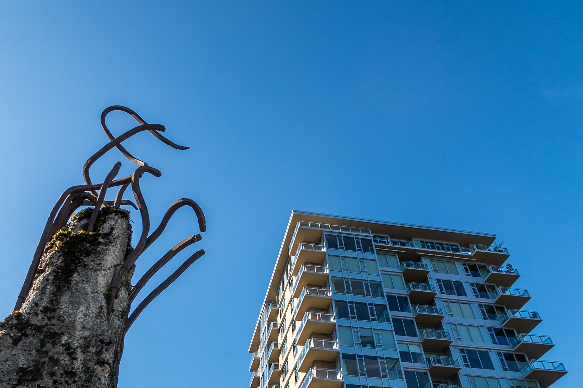 Tom McCall Waterfront Park