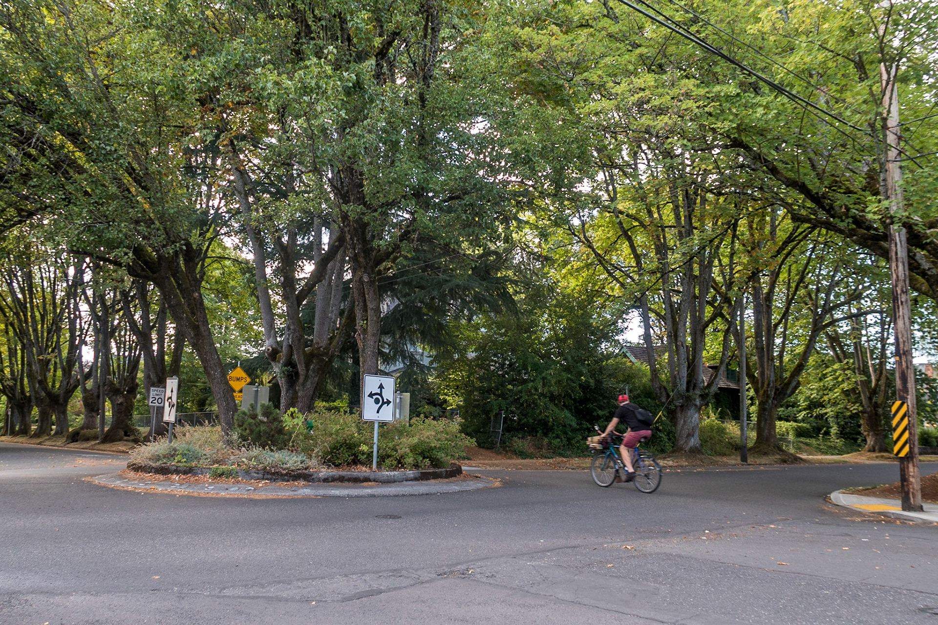 Bicycling through trees