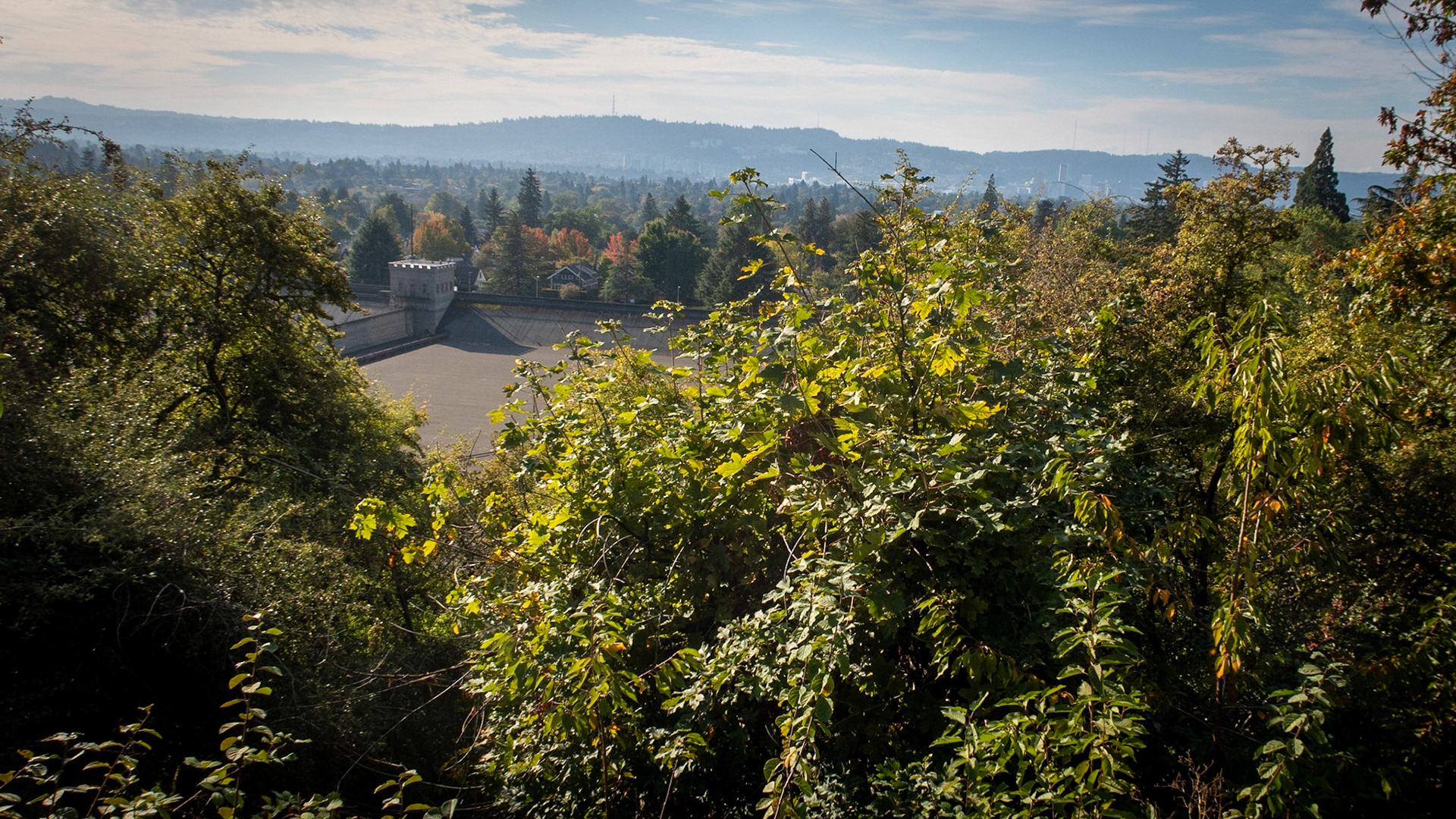 10/27/2022 Portland Mt Tabor Loop Walk