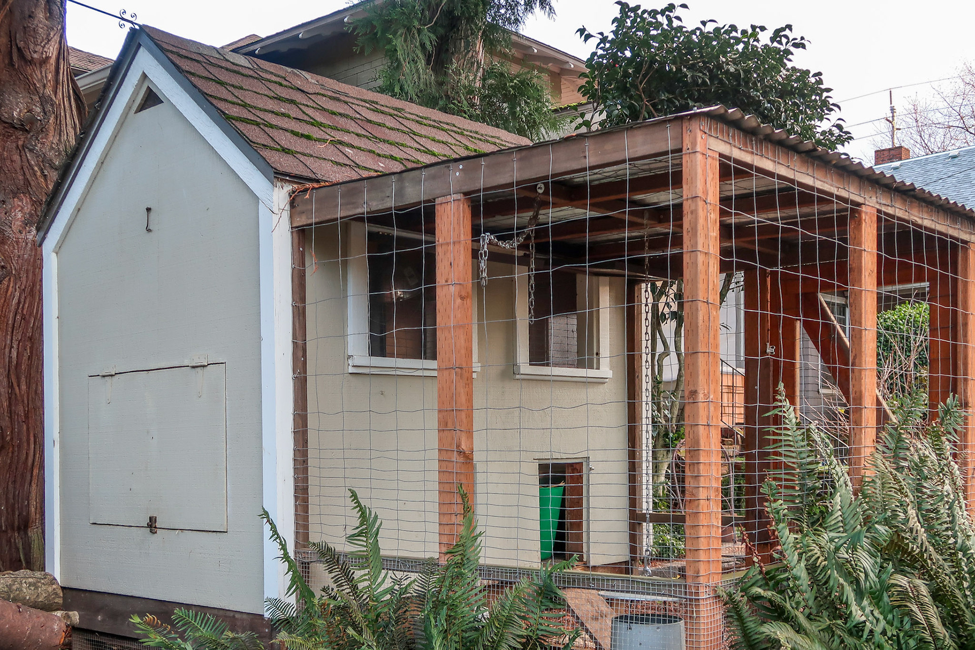 Neighborhood Chicken Coop