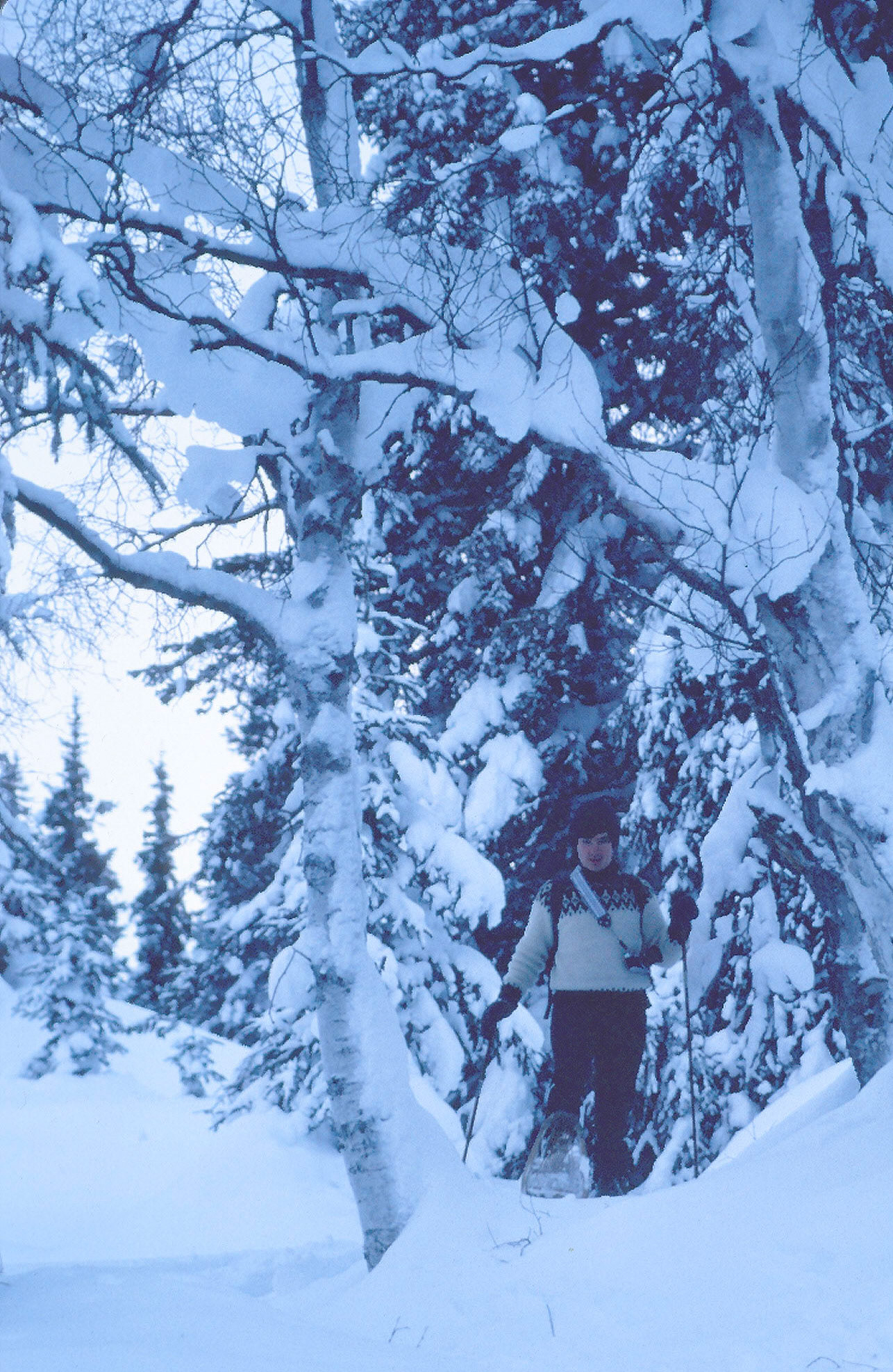 3/1980 Chugach National Forest Snowshoe Trip
