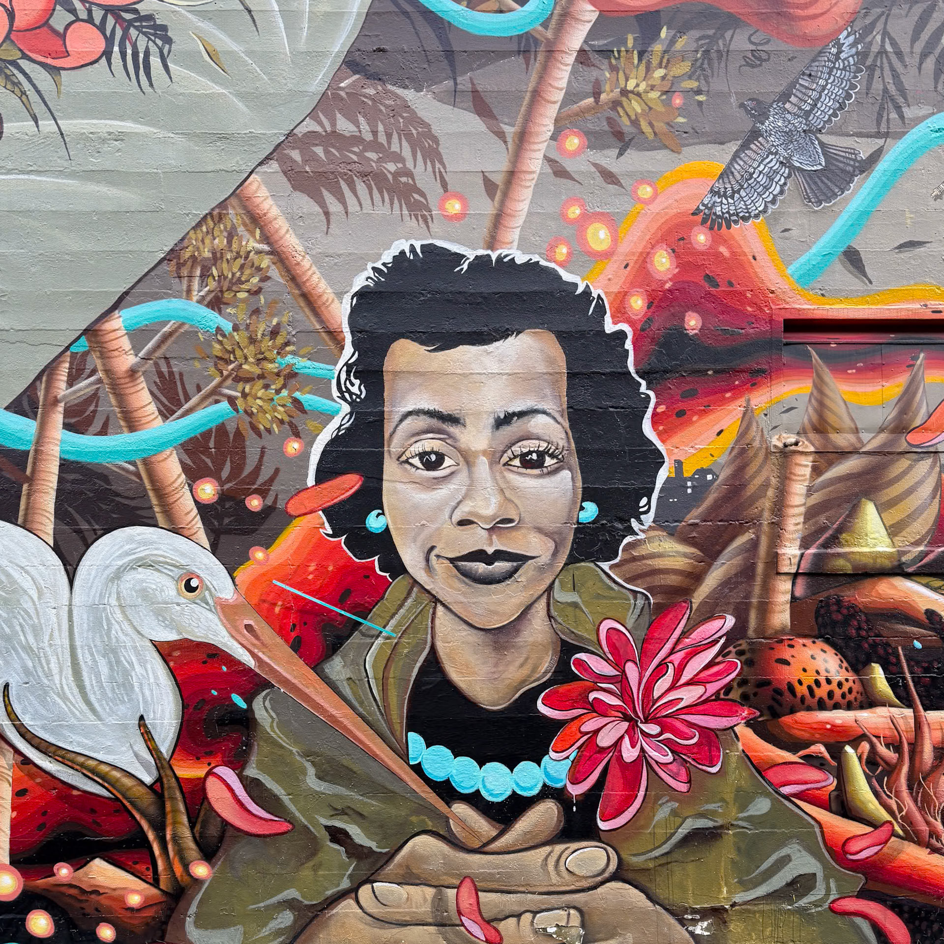 12/18/2024 NE Alberta St Walk