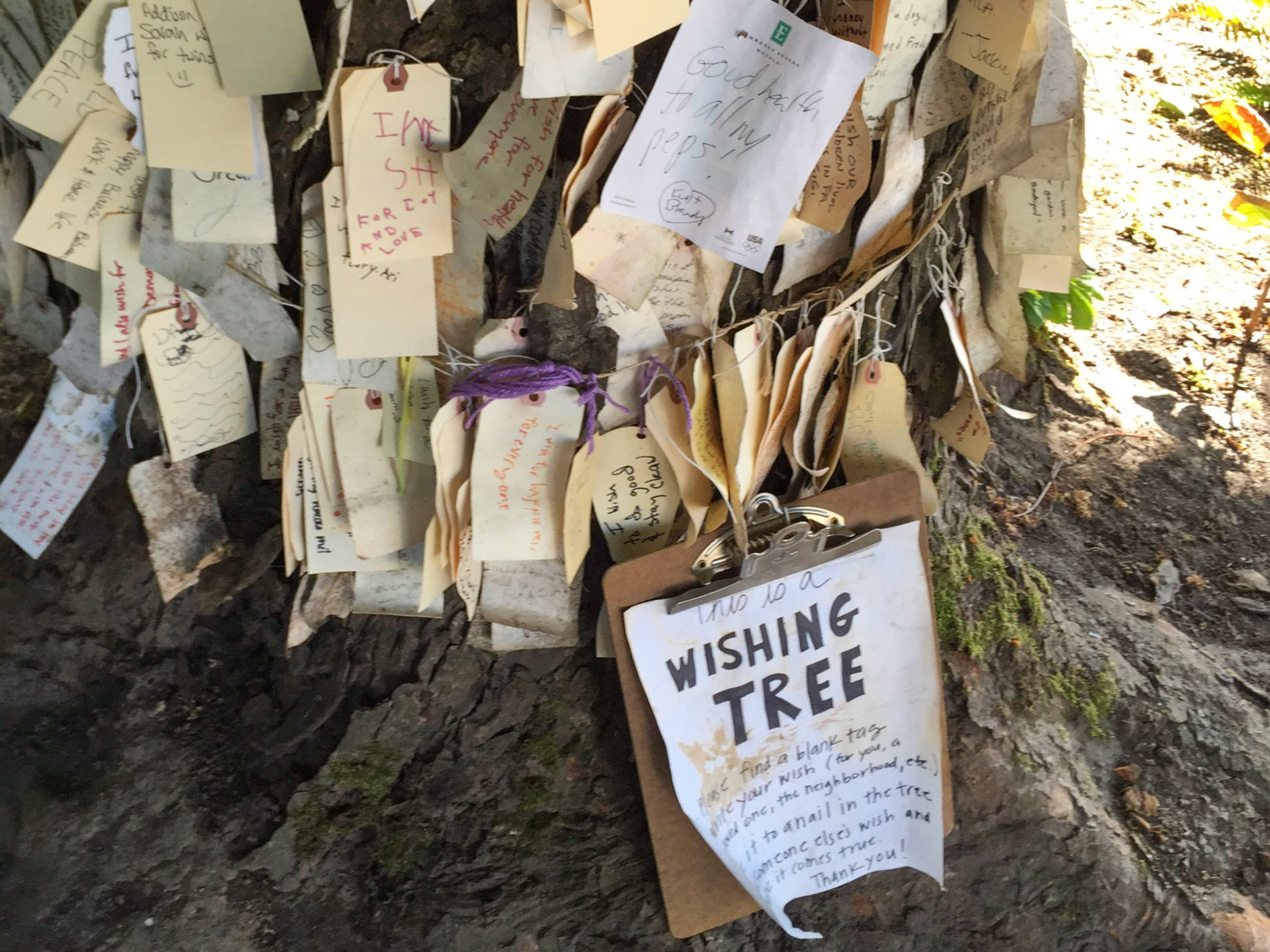 7/16/2015 NE Portland Walk