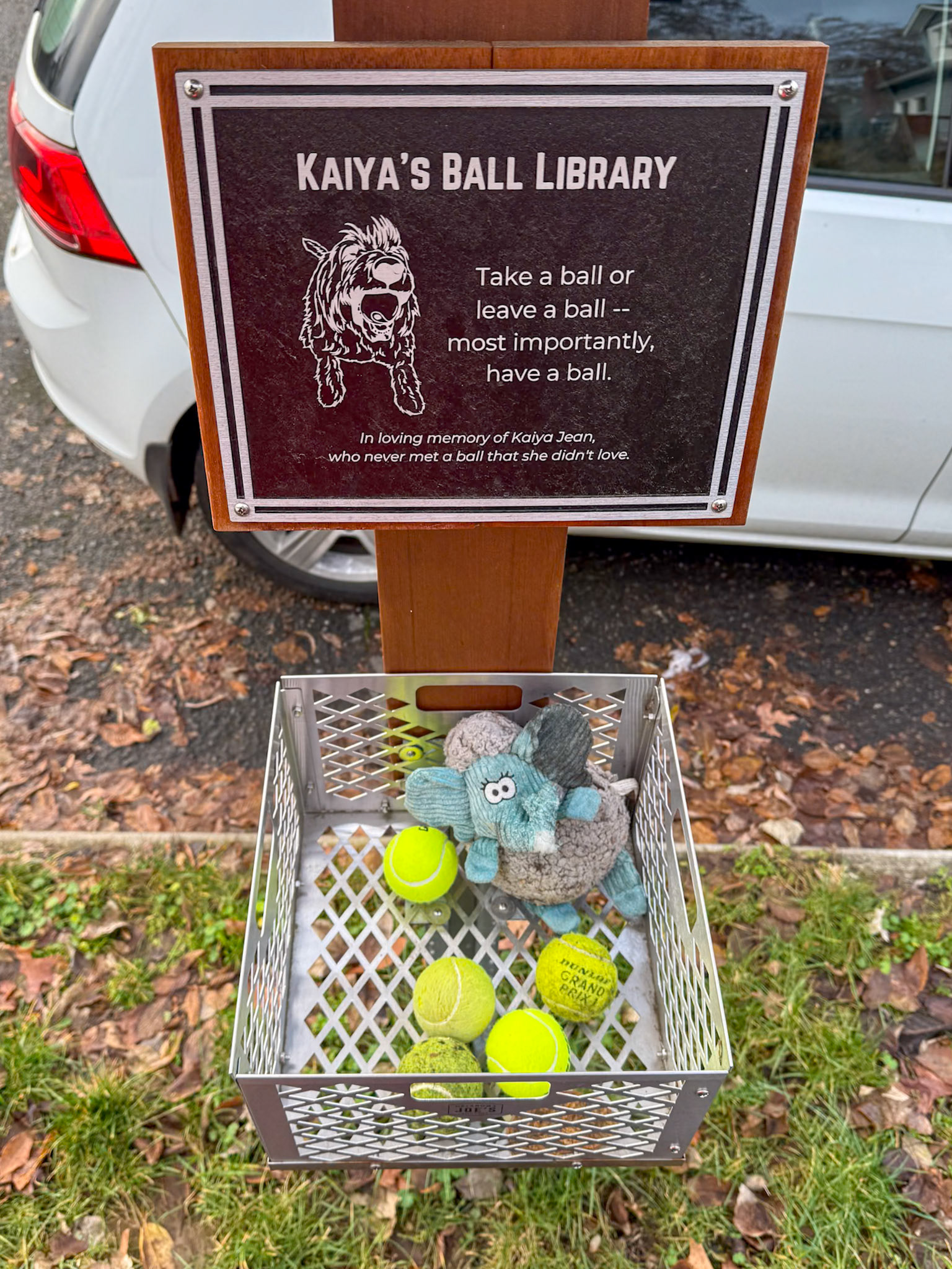 12/18/2024 NE Alberta St Walk