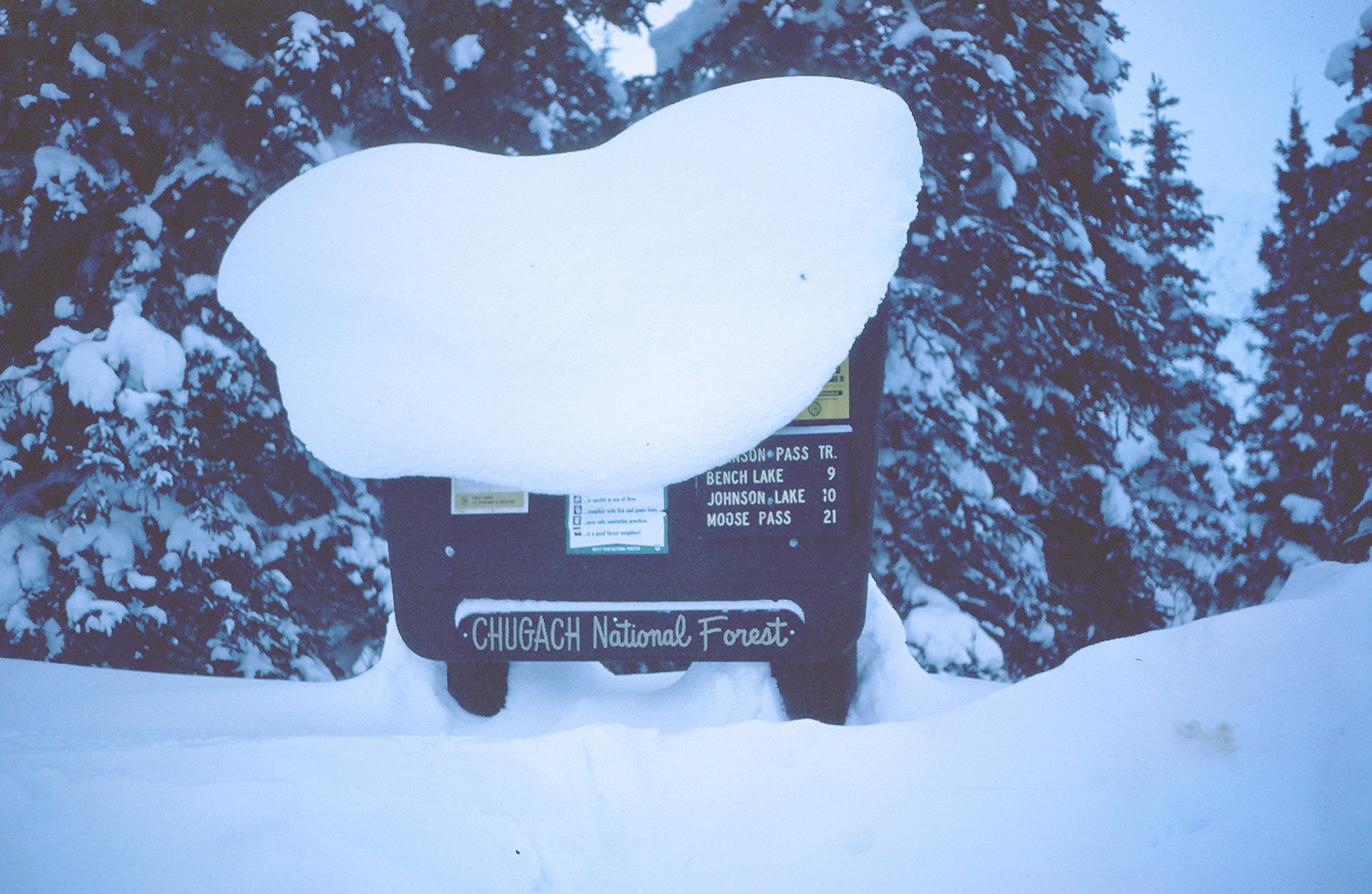 3/1980 Chugach National Forest Snowshoe Trip