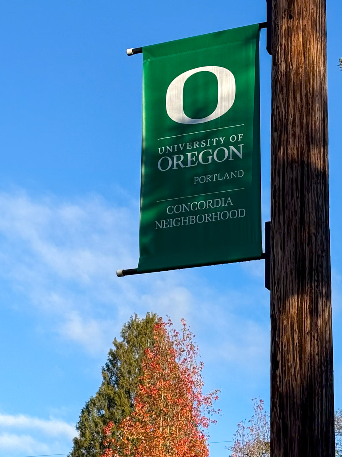 12/9/2024 NE Portland Walk