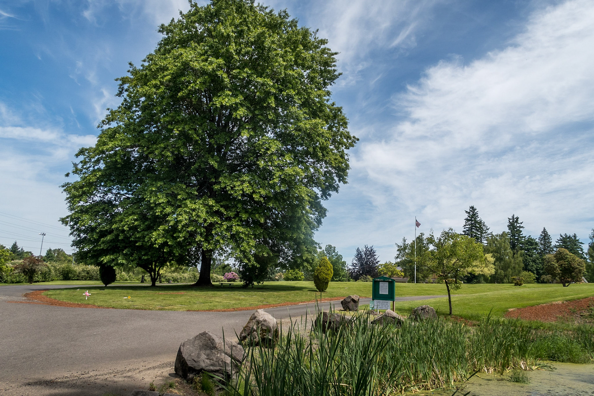 https://www.burialplanning.com/cemeteries/forest-lawn-cemetery-mausoleum/