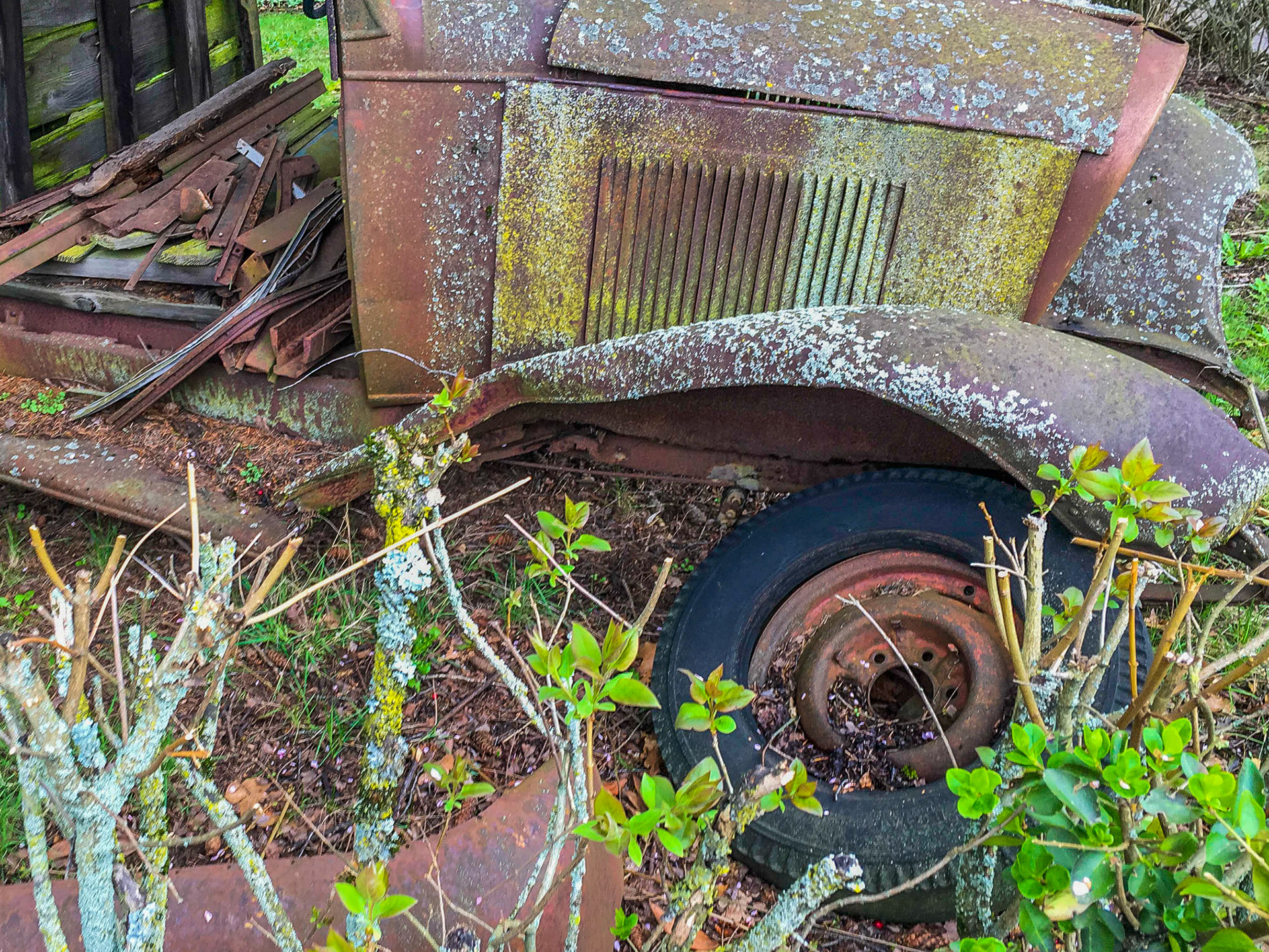3/5/2015 Walk to Downtown Portland