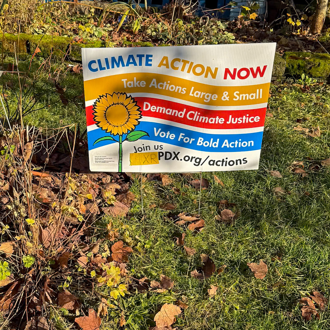 12/9/2024 NE Portland Walk