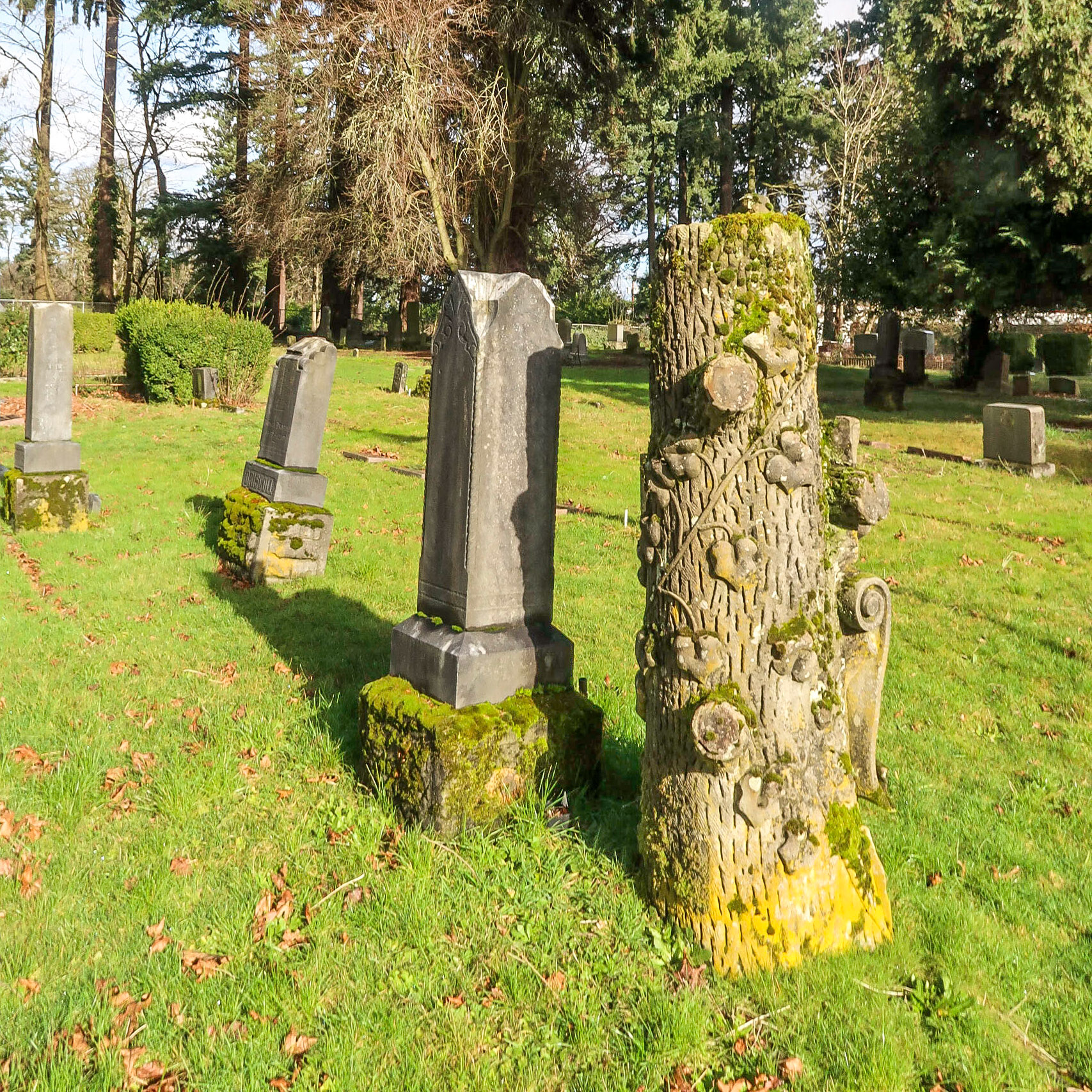 Pacific Northwest Photowalks 1/25/2020 Portland TriMet Line 70 Walk 1