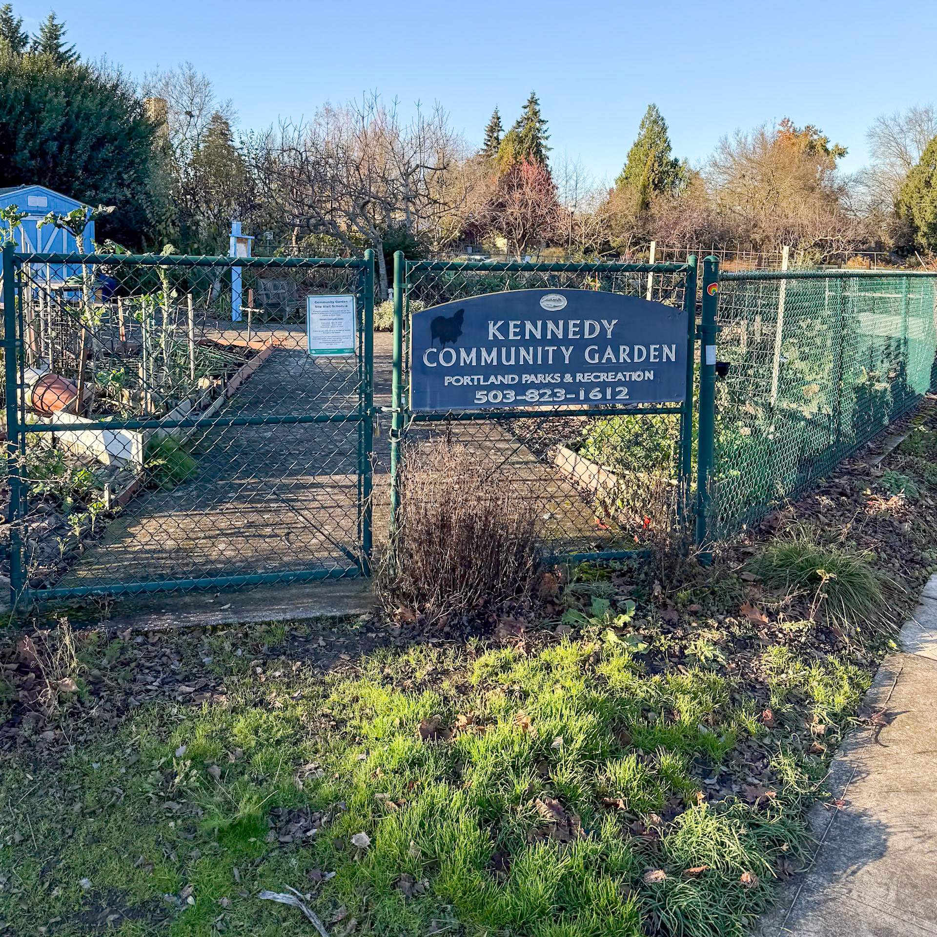 12/9/2024 NE Portland Walk