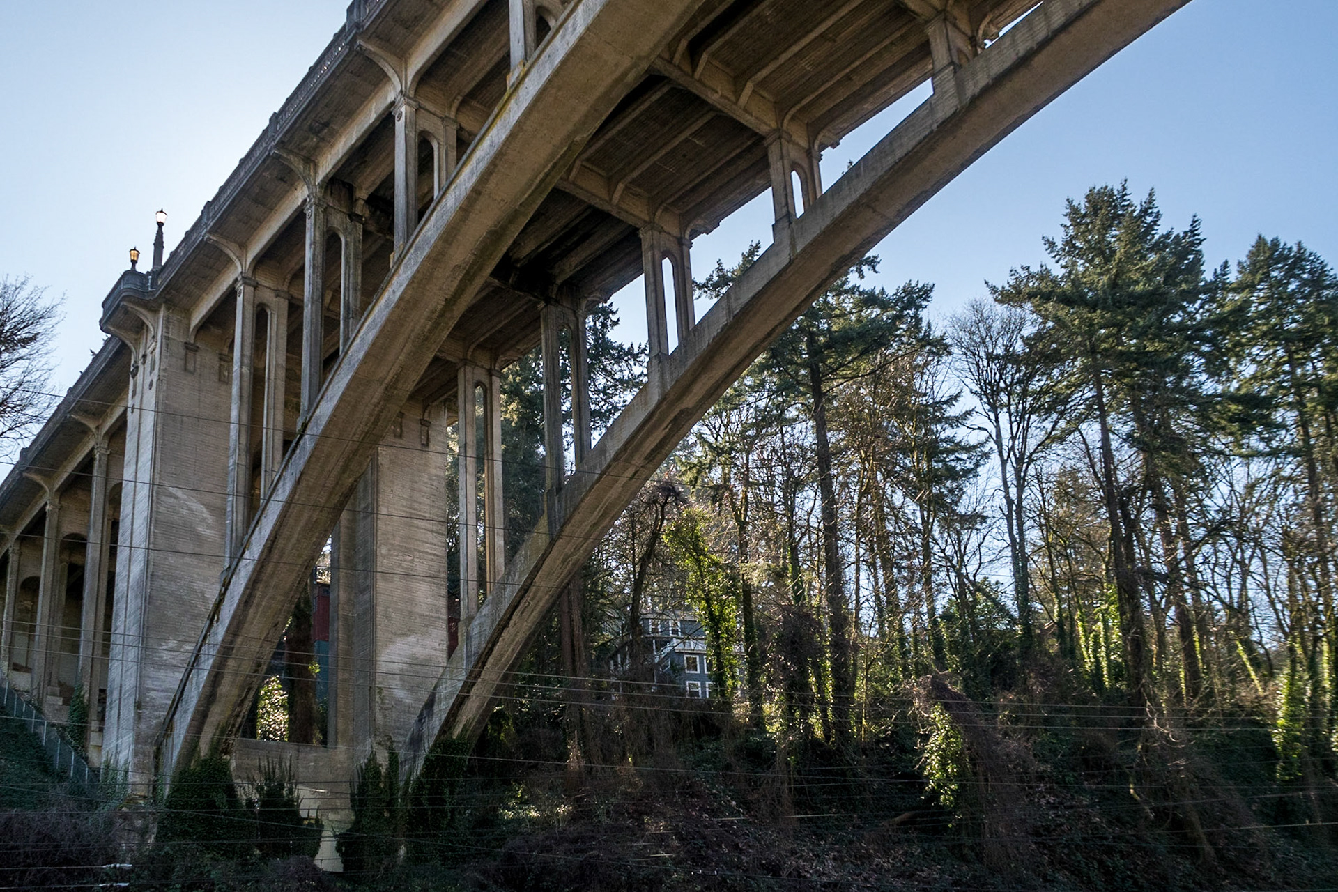 Walking up to cross over for long walk in Portland hills. https://en.wikipedia.org/wiki/Vista_Bridge