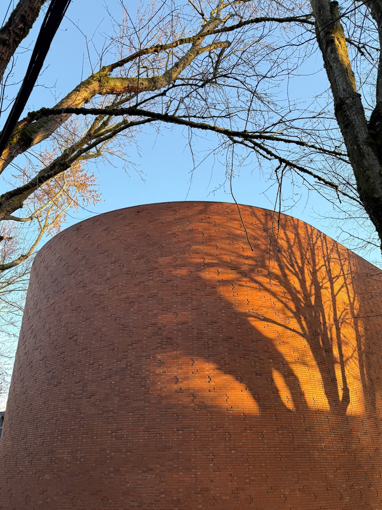 12/24/2024 Christmas Eve Walk in Lloyd District